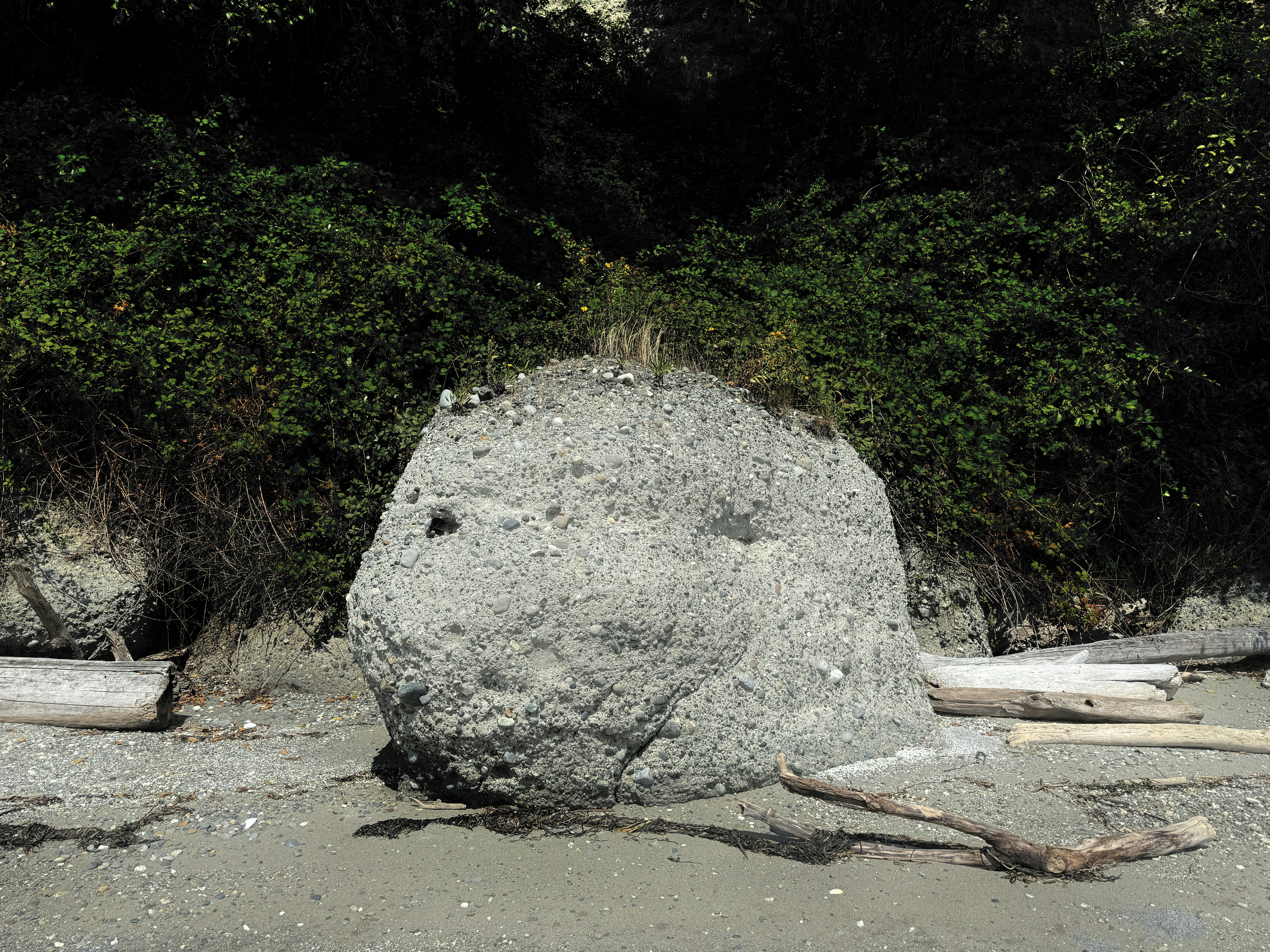 Click to View Larger