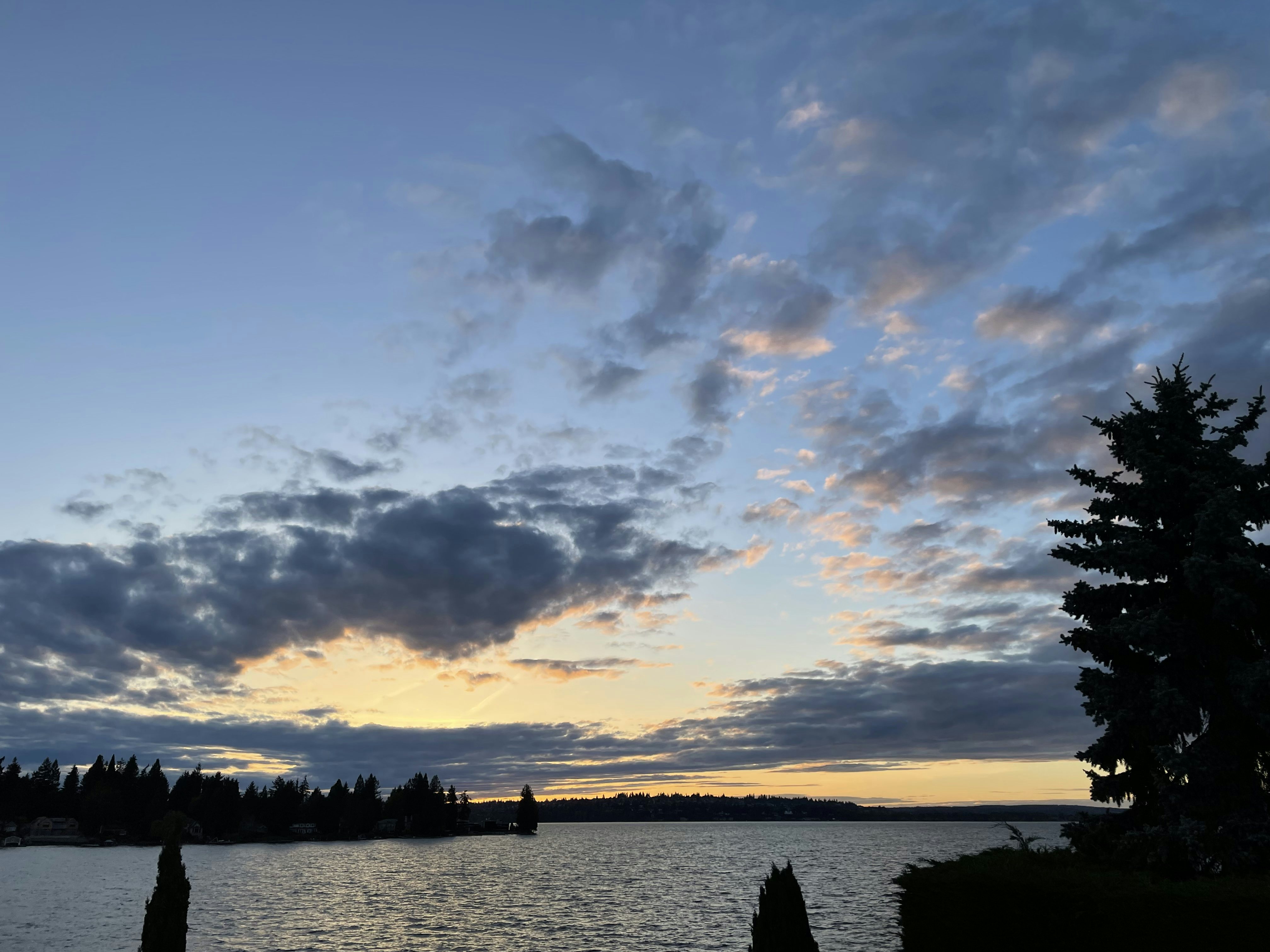 Click to View Larger