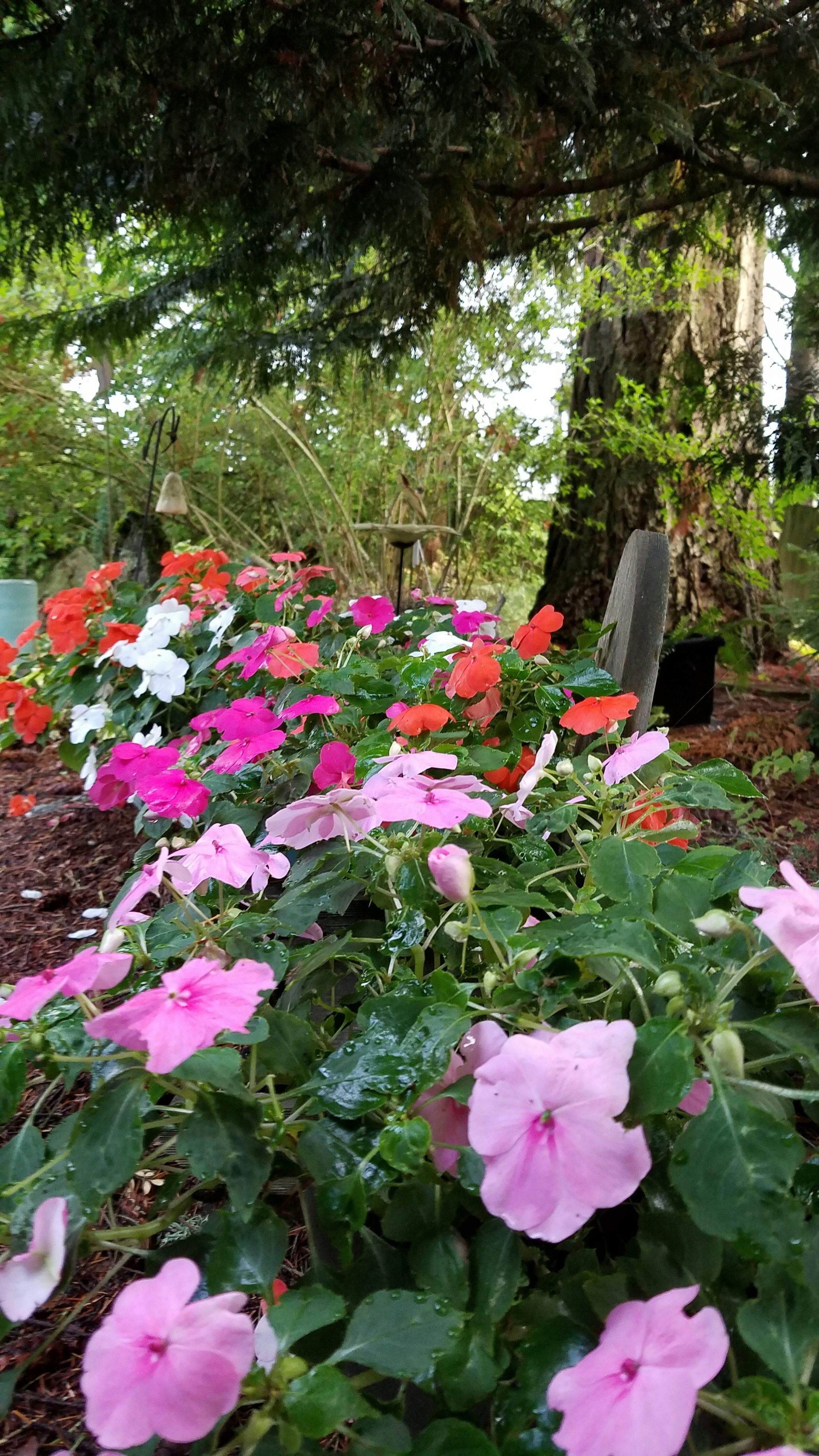 Click to View Larger