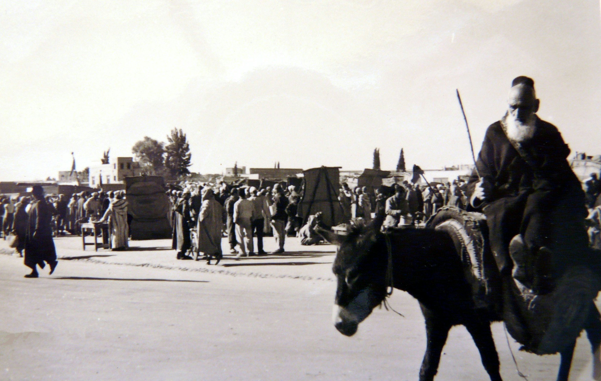 Click to View Larger