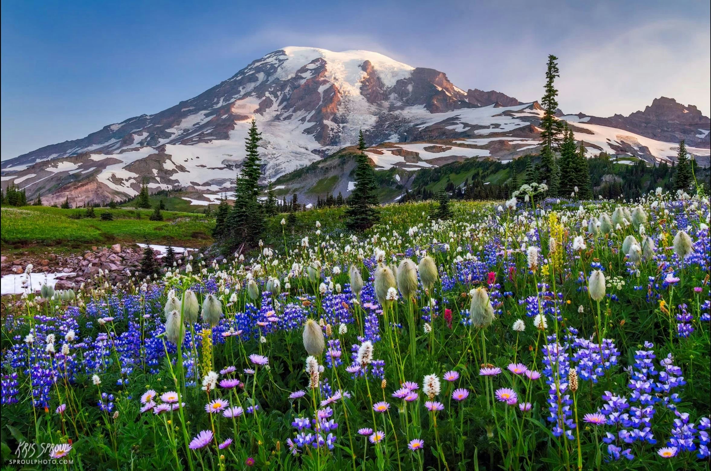 Click to View Larger