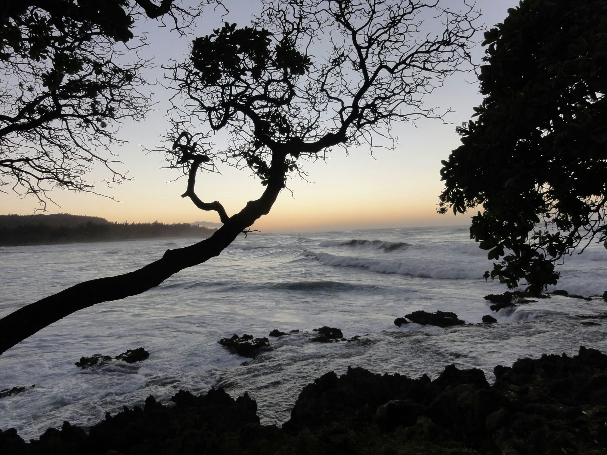 Click to View Larger