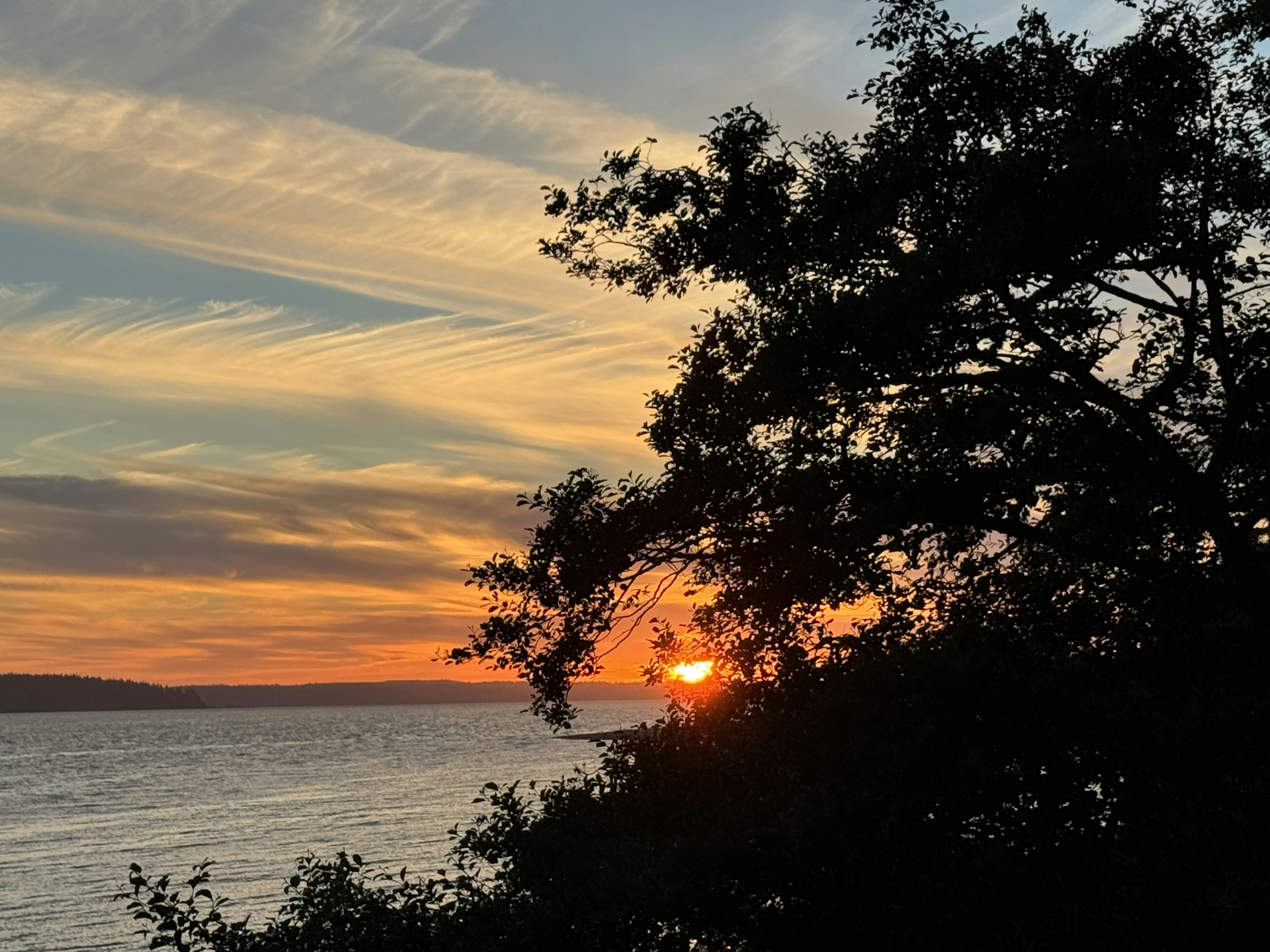 Click to View Larger