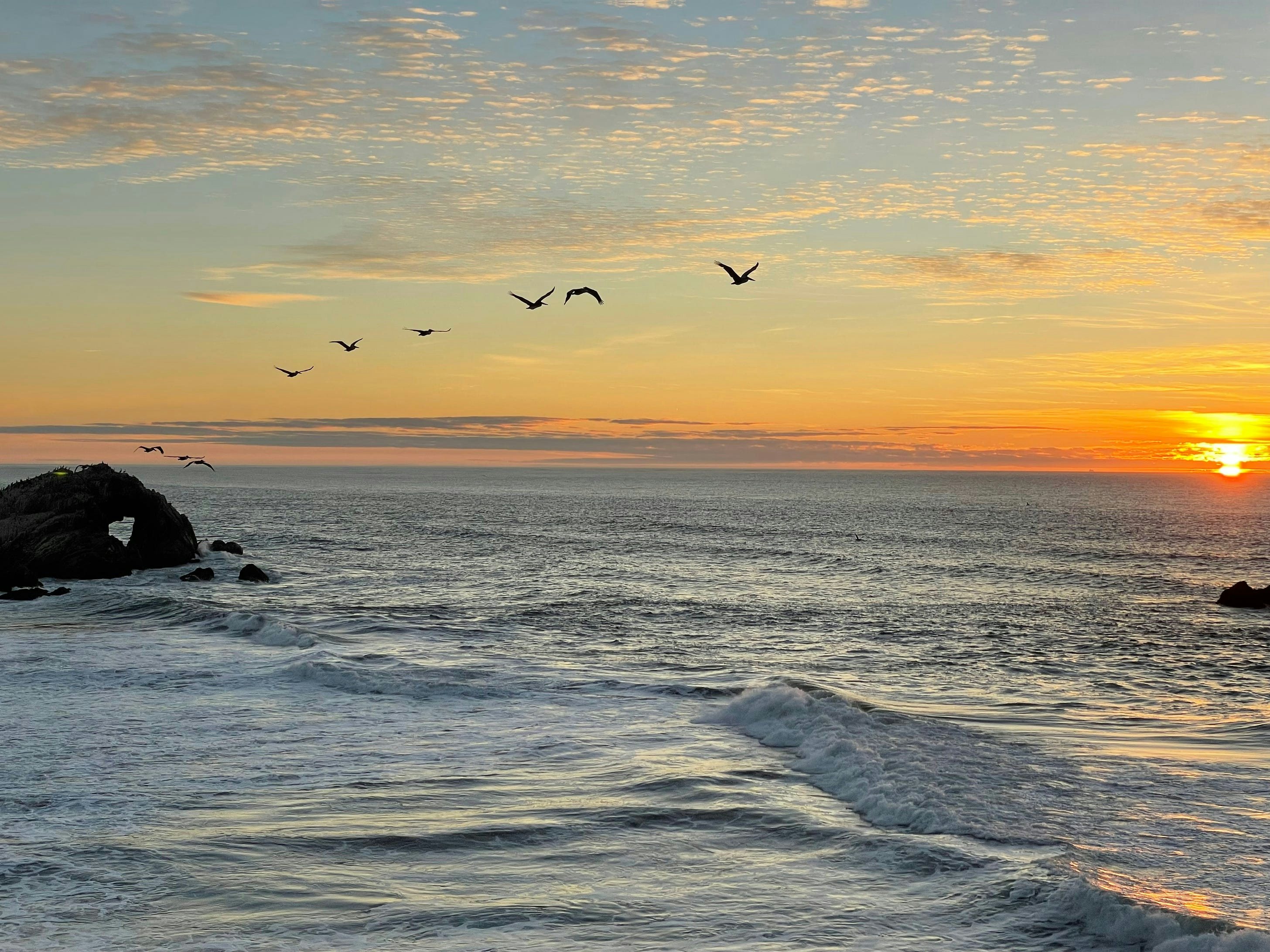 Click to View Larger