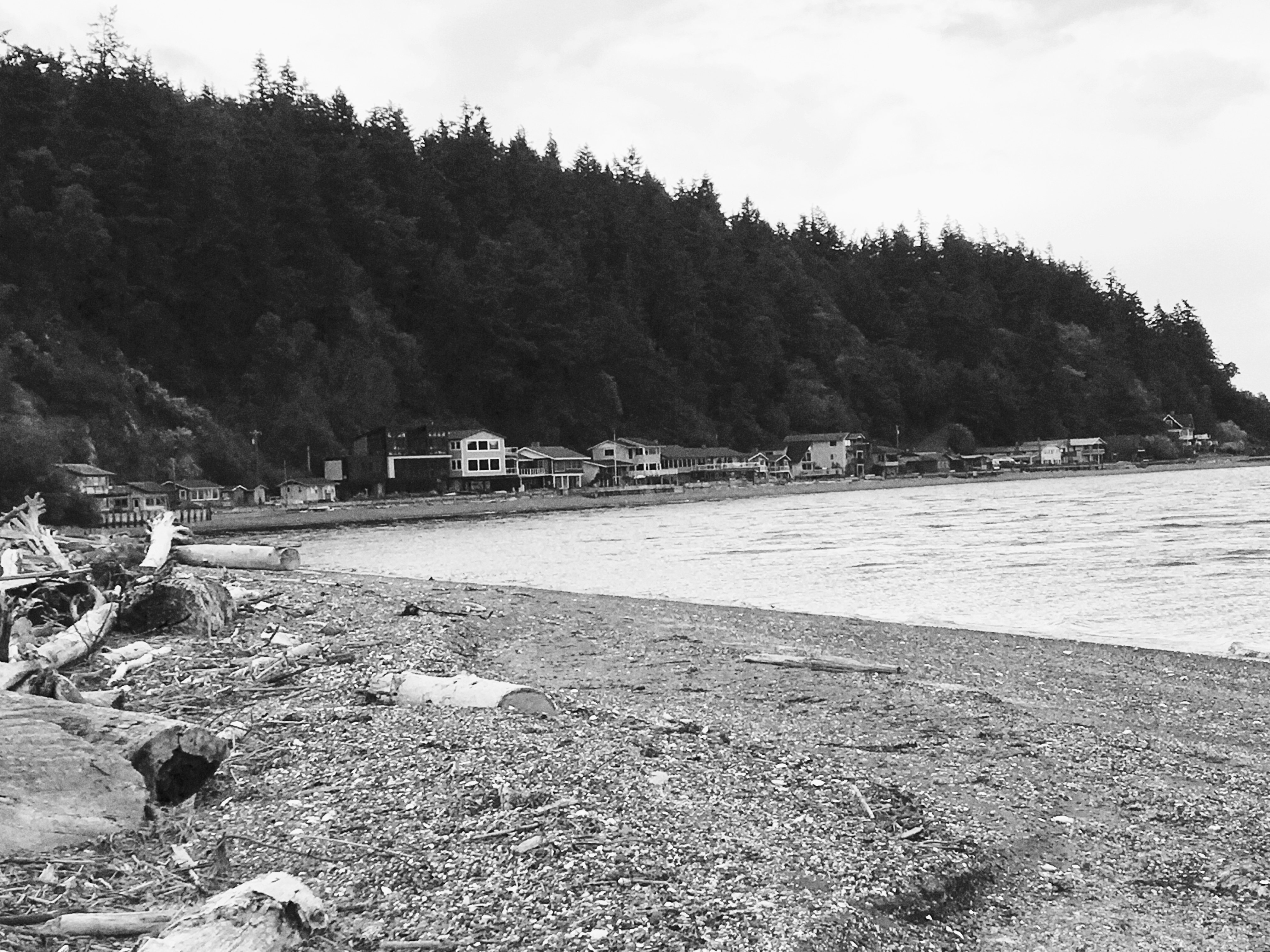 Click to View Larger