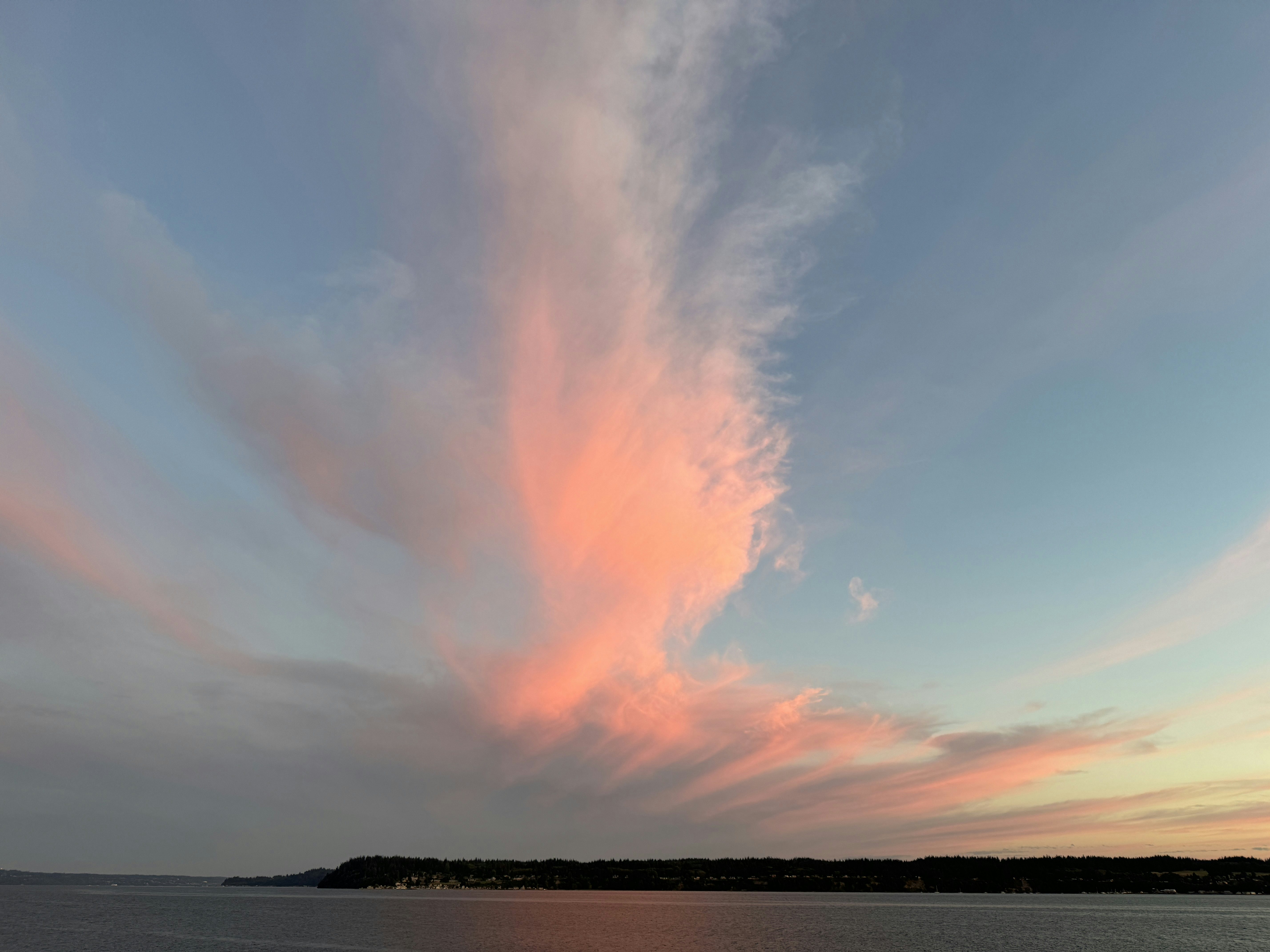 Click to View Larger