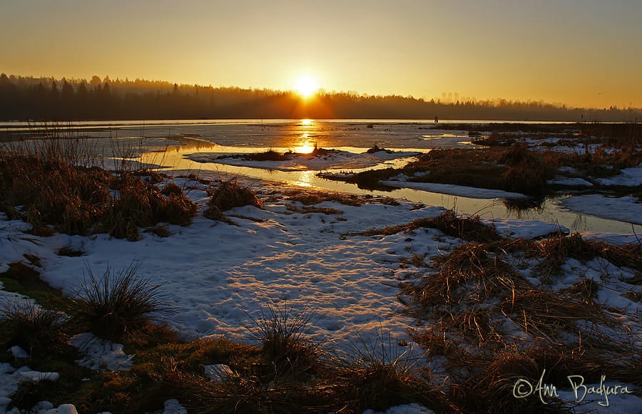 Click to View Larger