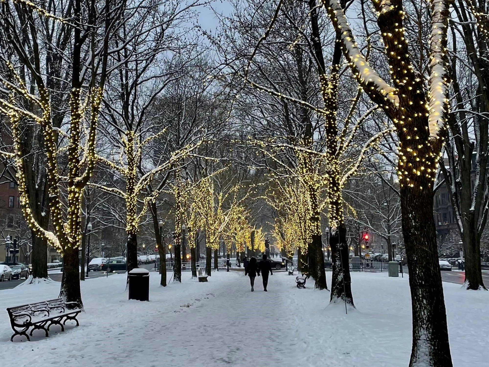 Click to View Larger