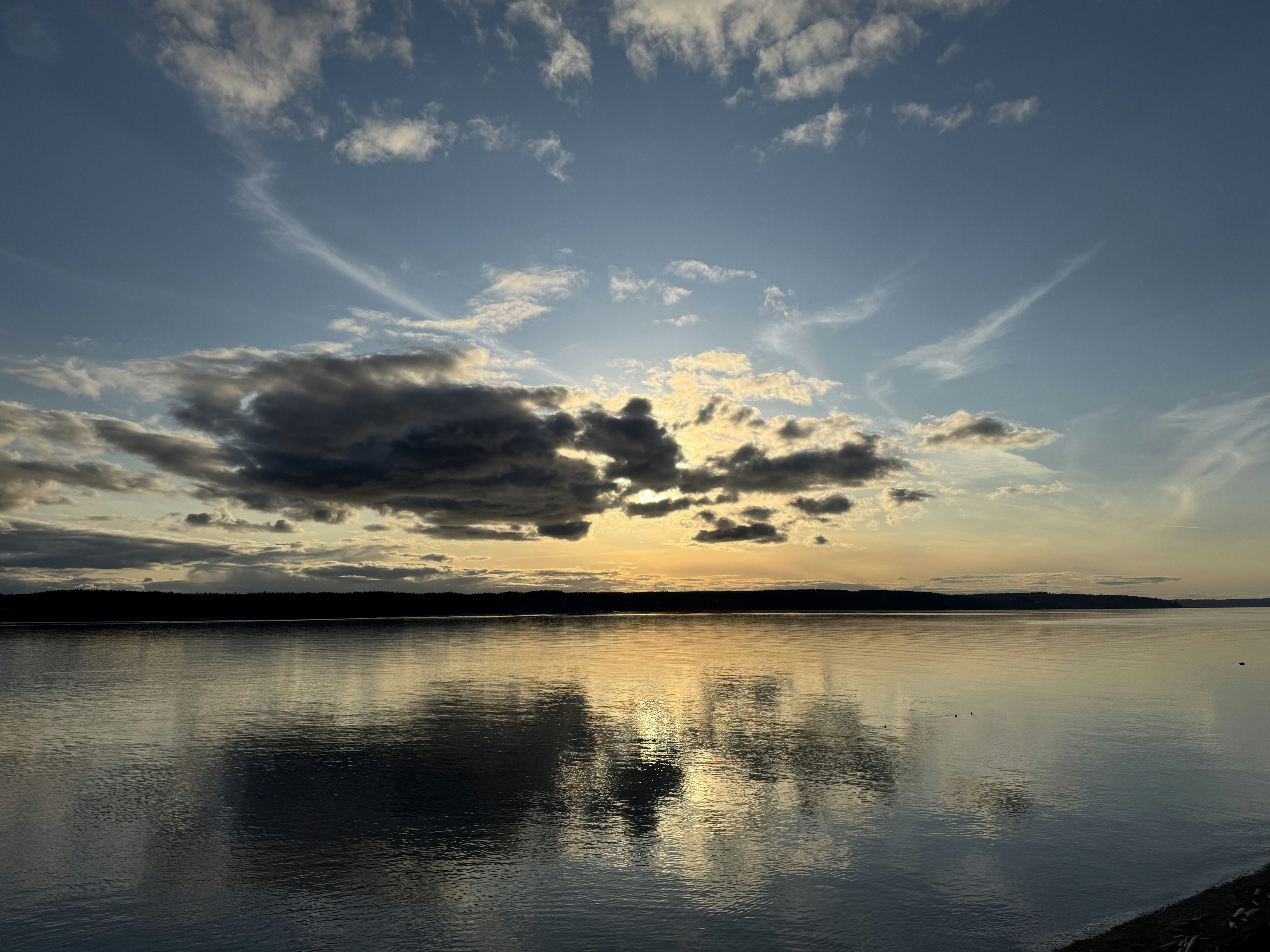 Click to View Larger