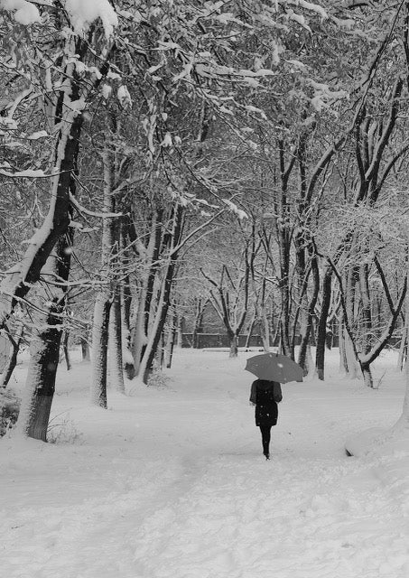 Click to View Larger