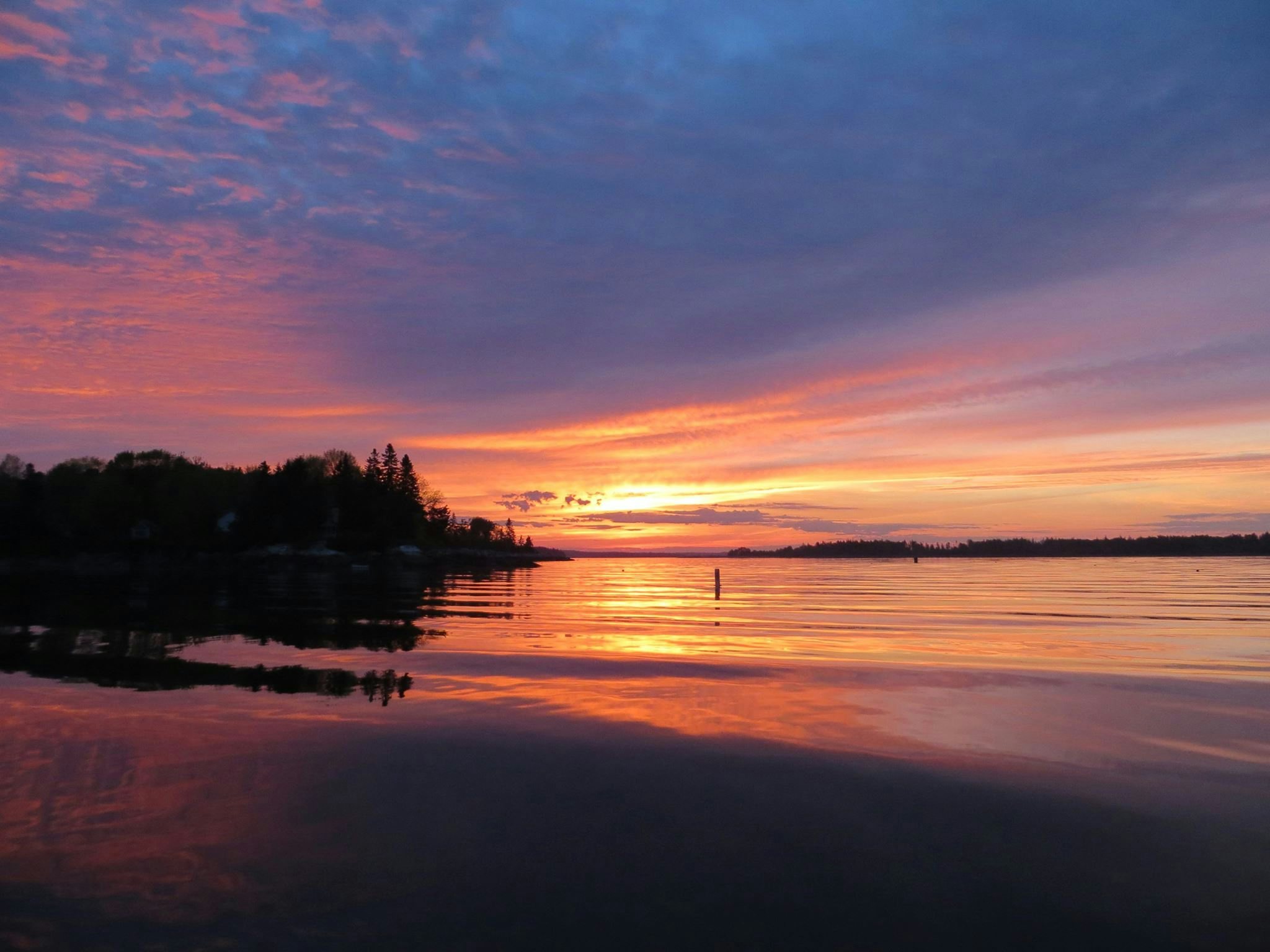 Click to View Larger