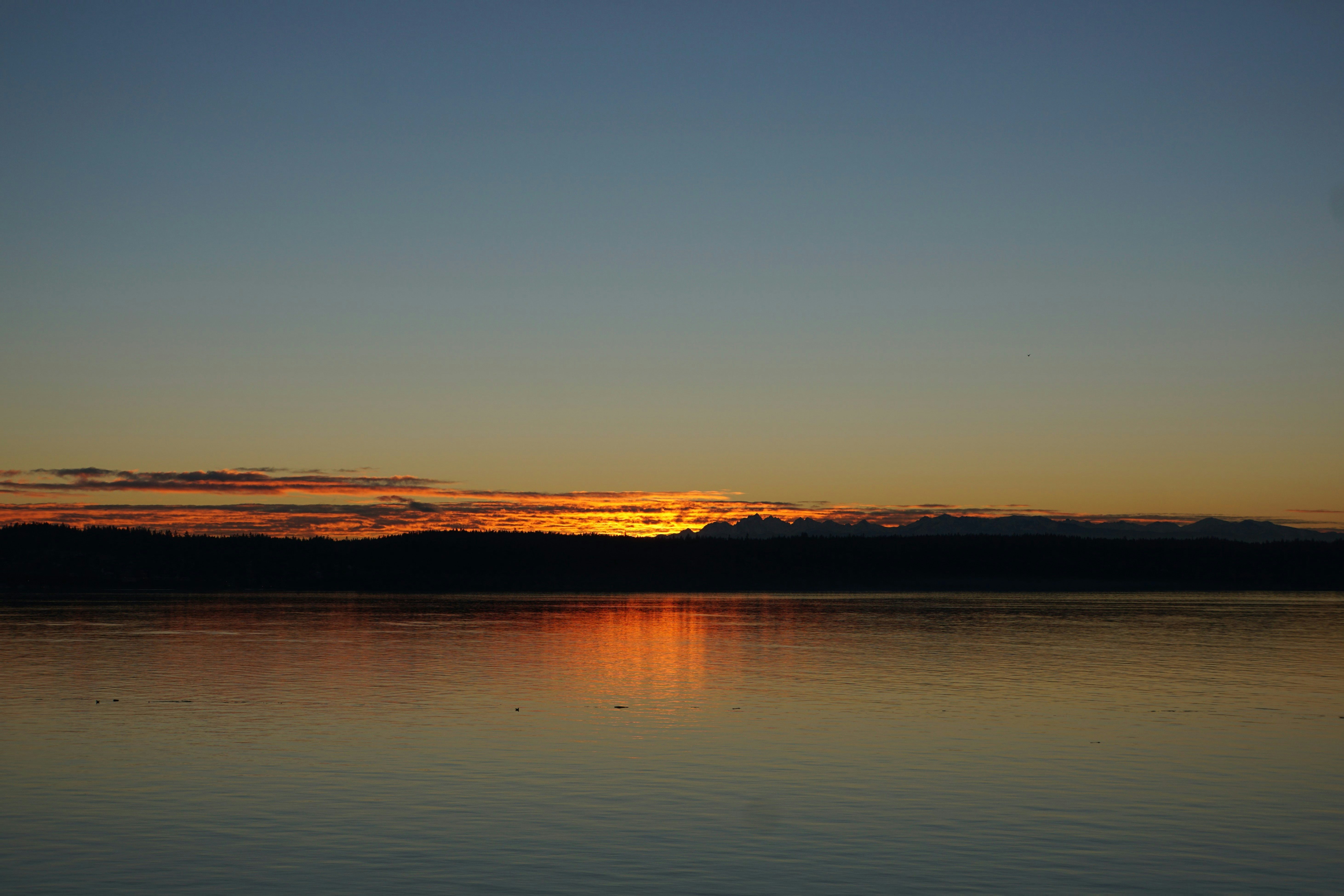 Click to View Larger