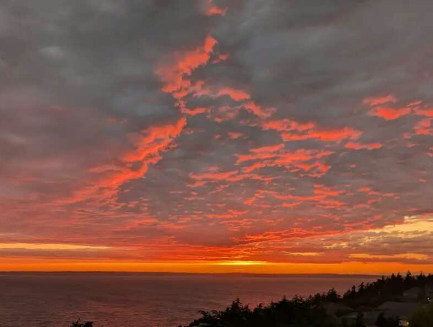 Click to View Larger