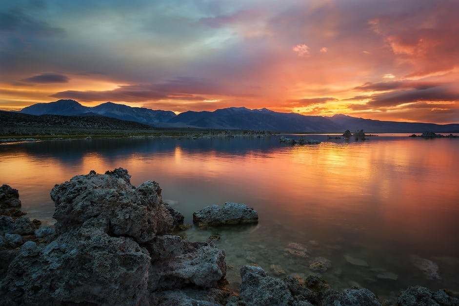 Click to View Larger