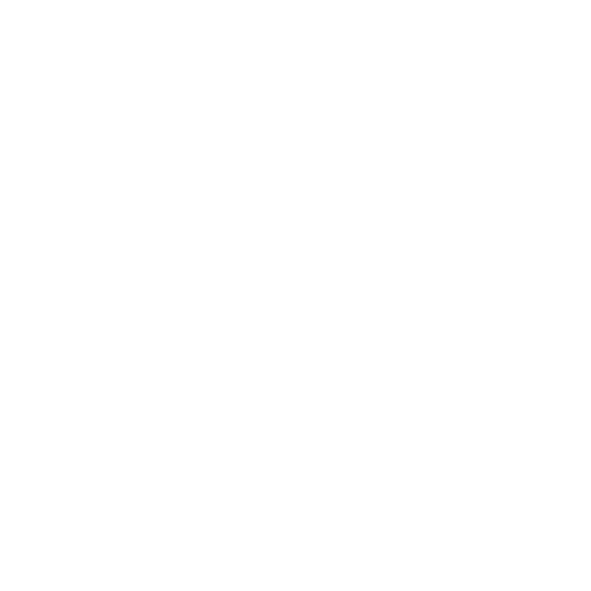 Connect Icon