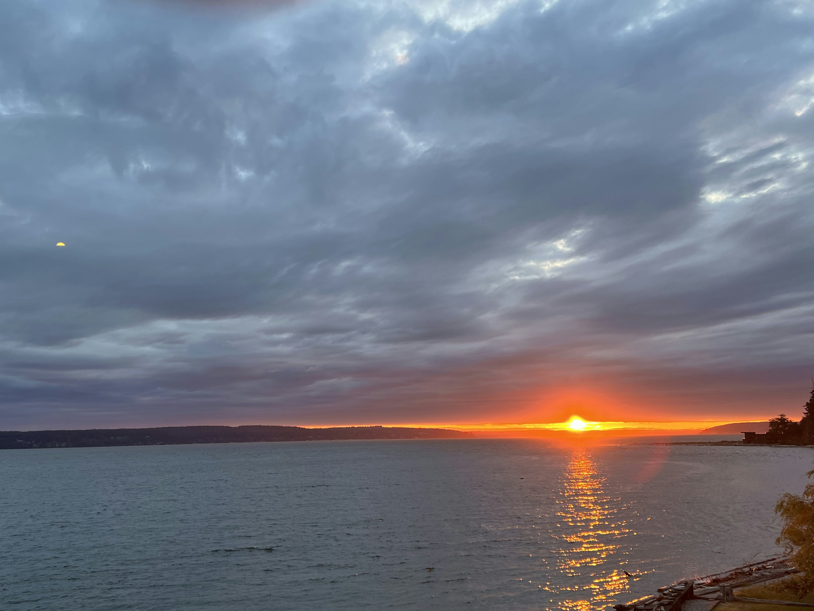 Click to View Larger