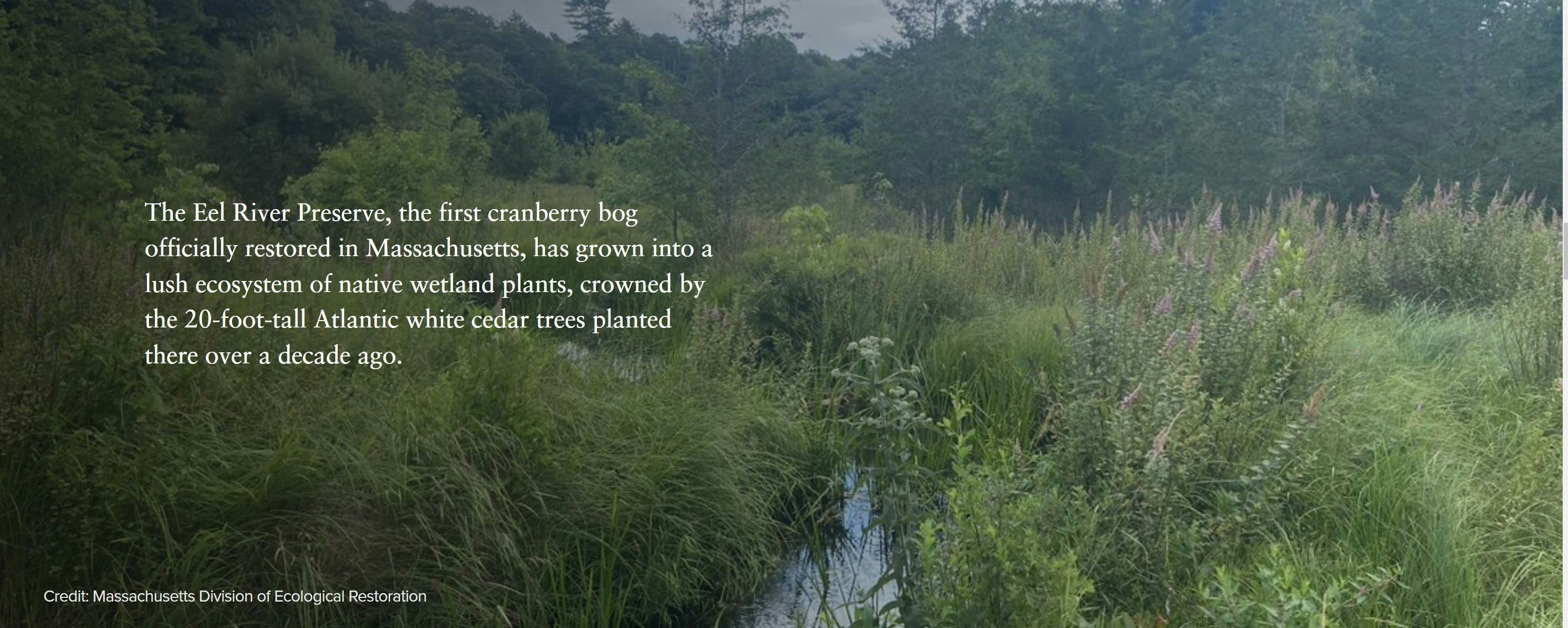 Click to View Larger