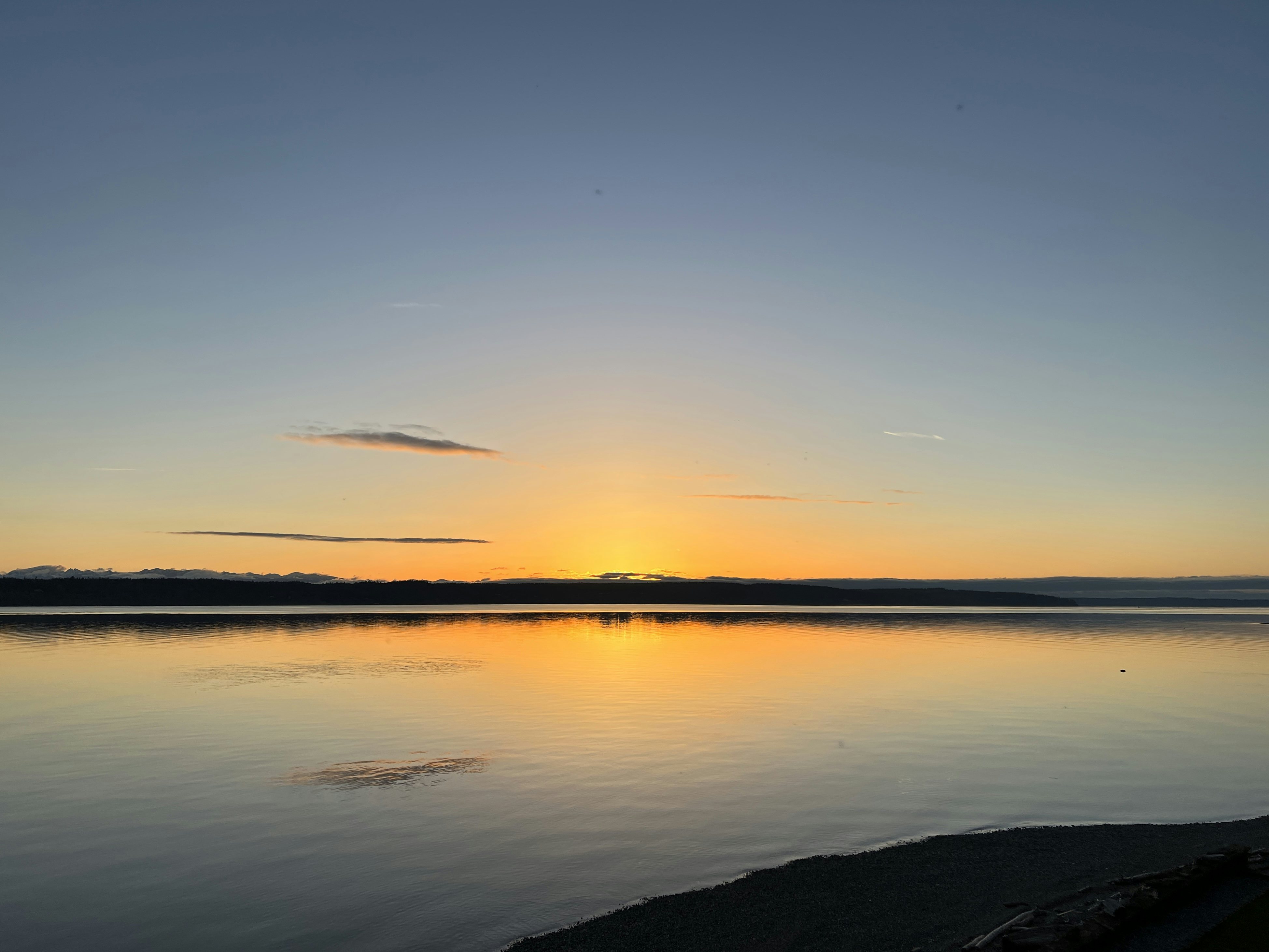 Click to View Larger