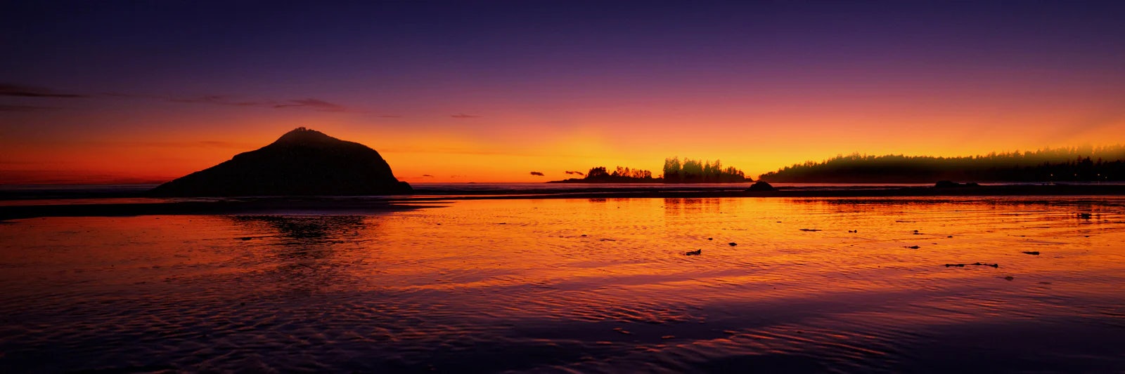 Click to View Larger