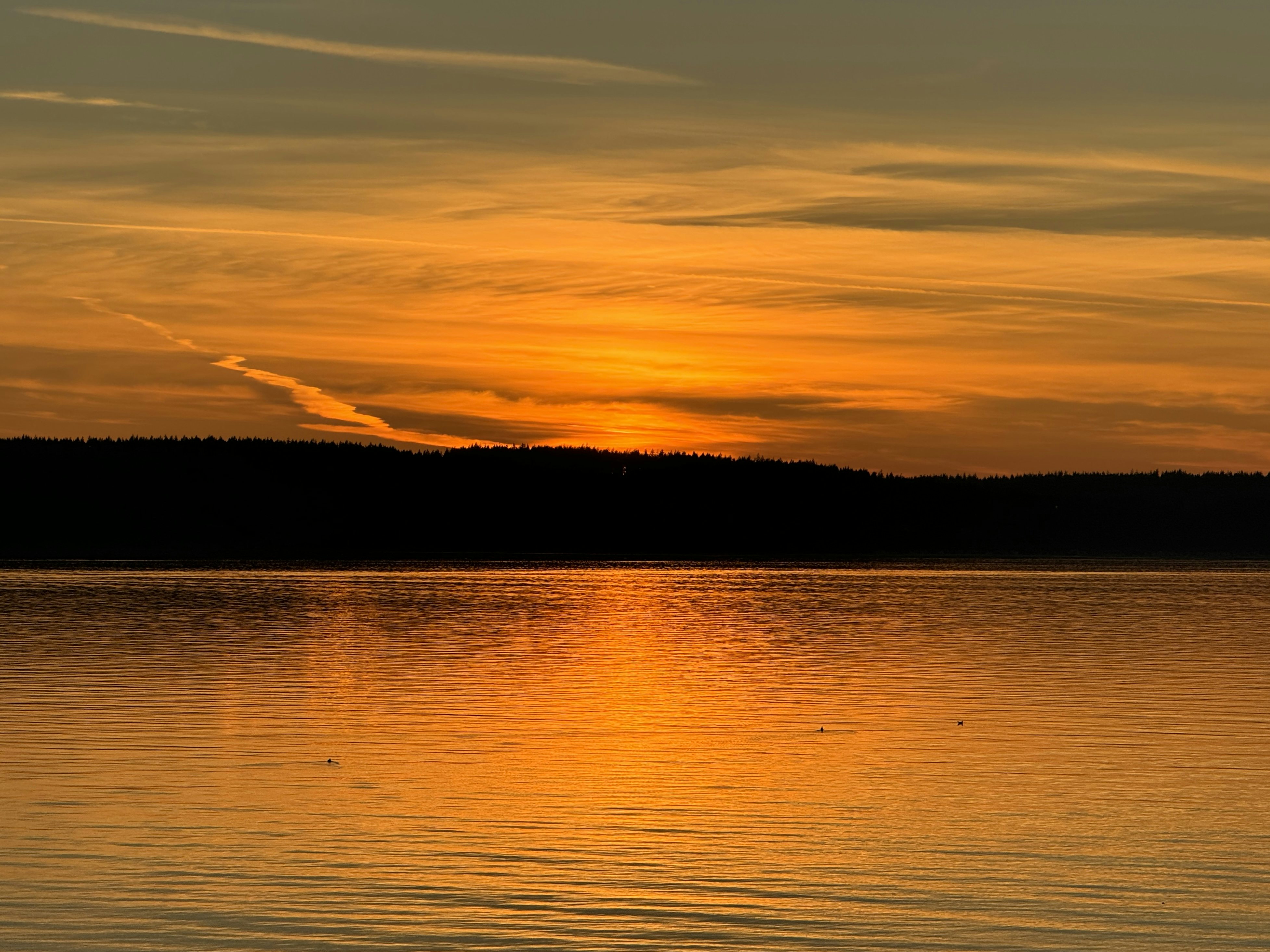 Click to View Larger