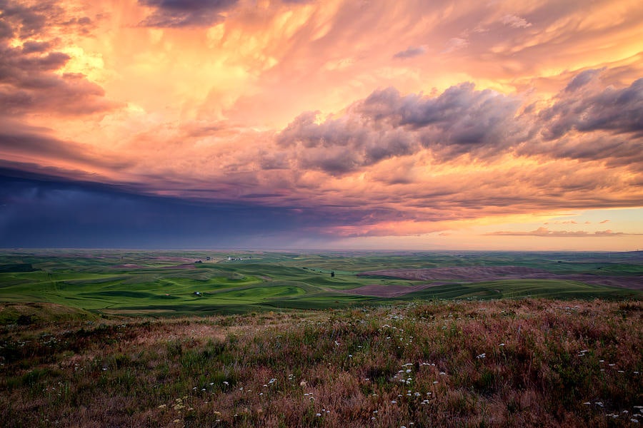 Click to View Larger