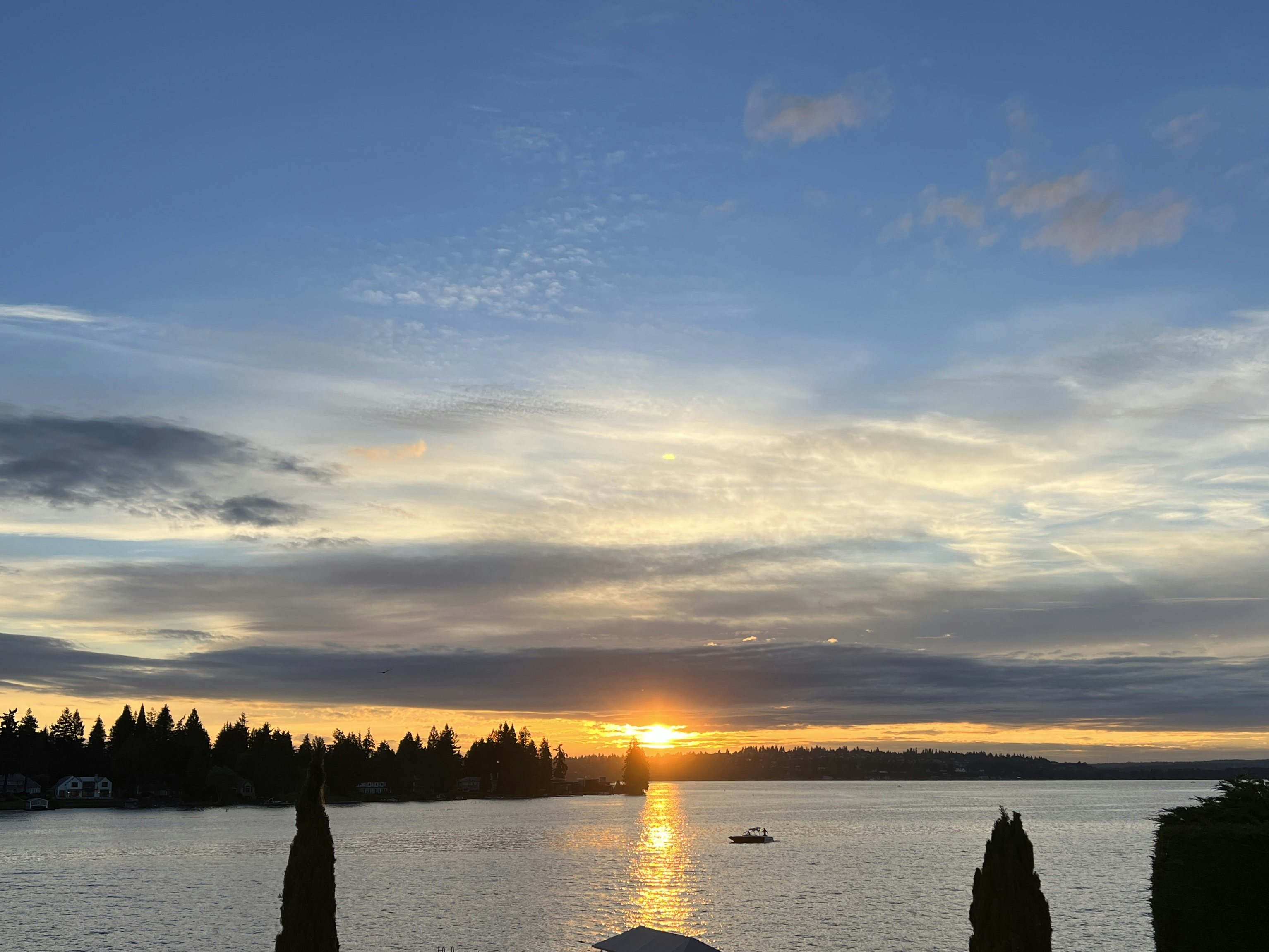 Click to View Larger