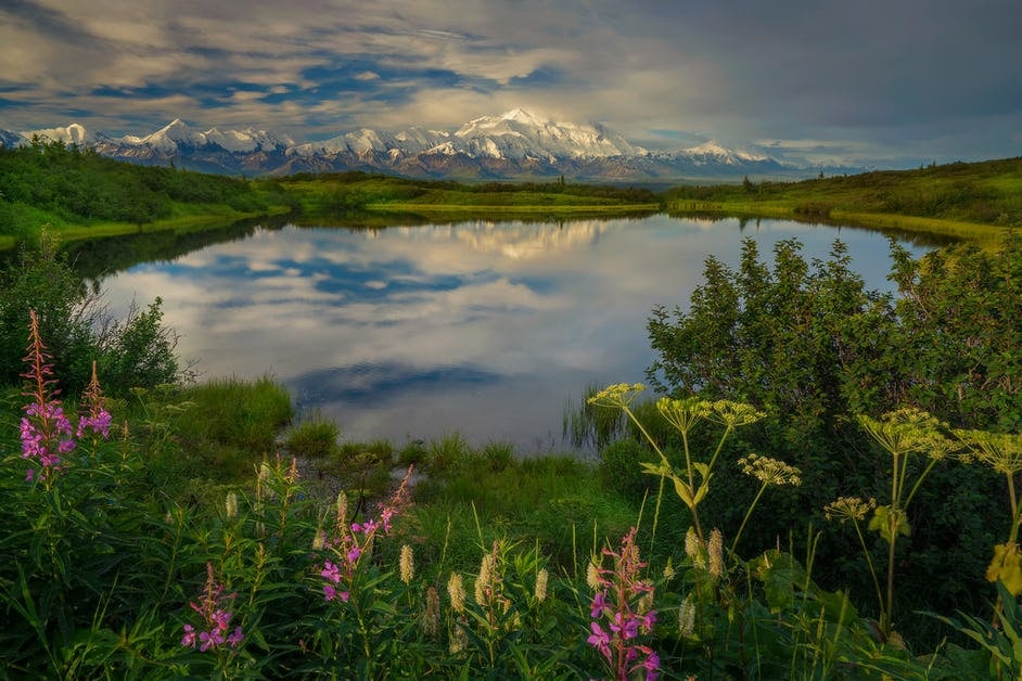 Click to View Larger