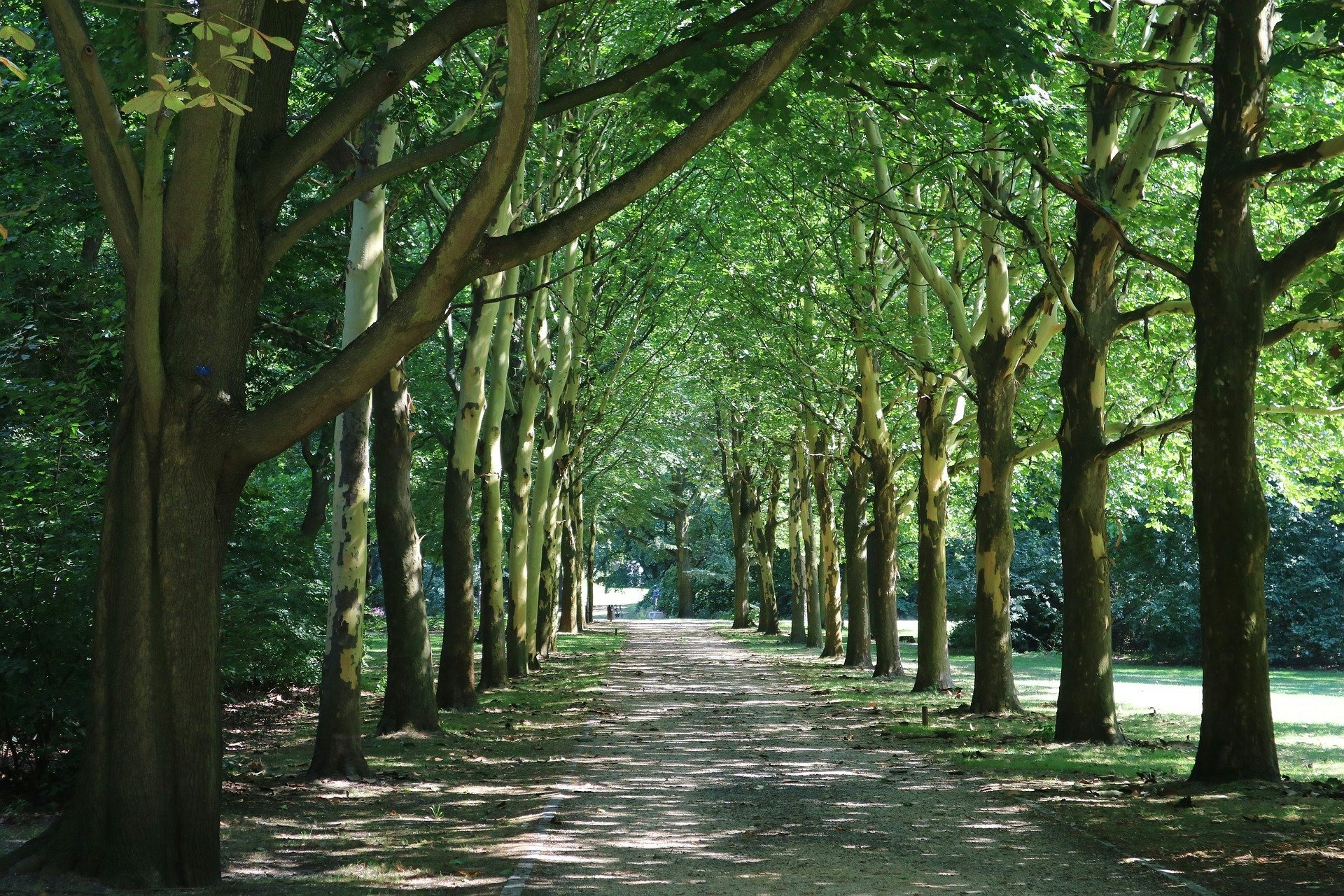 Click to View Larger