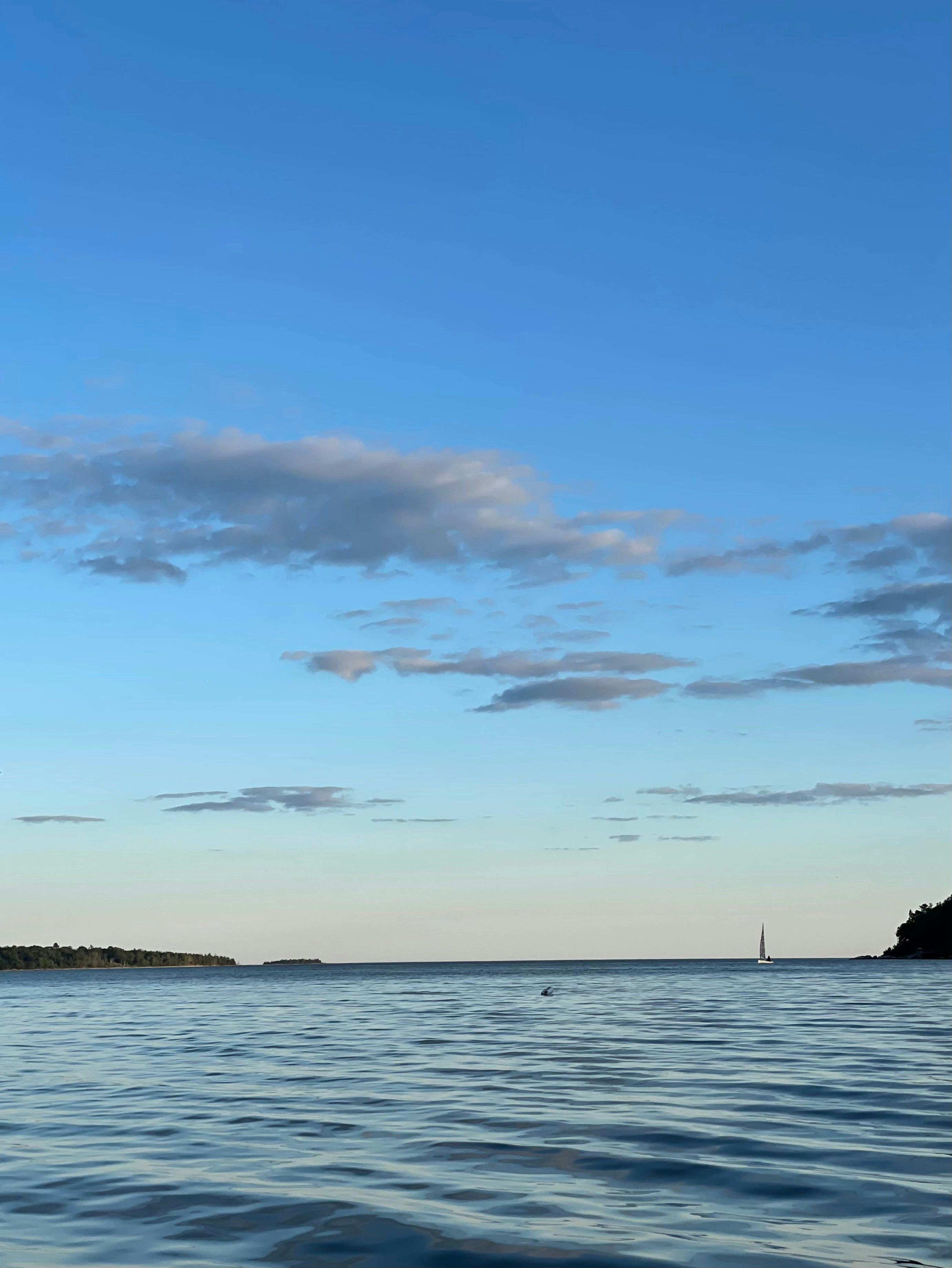 Click to View Larger