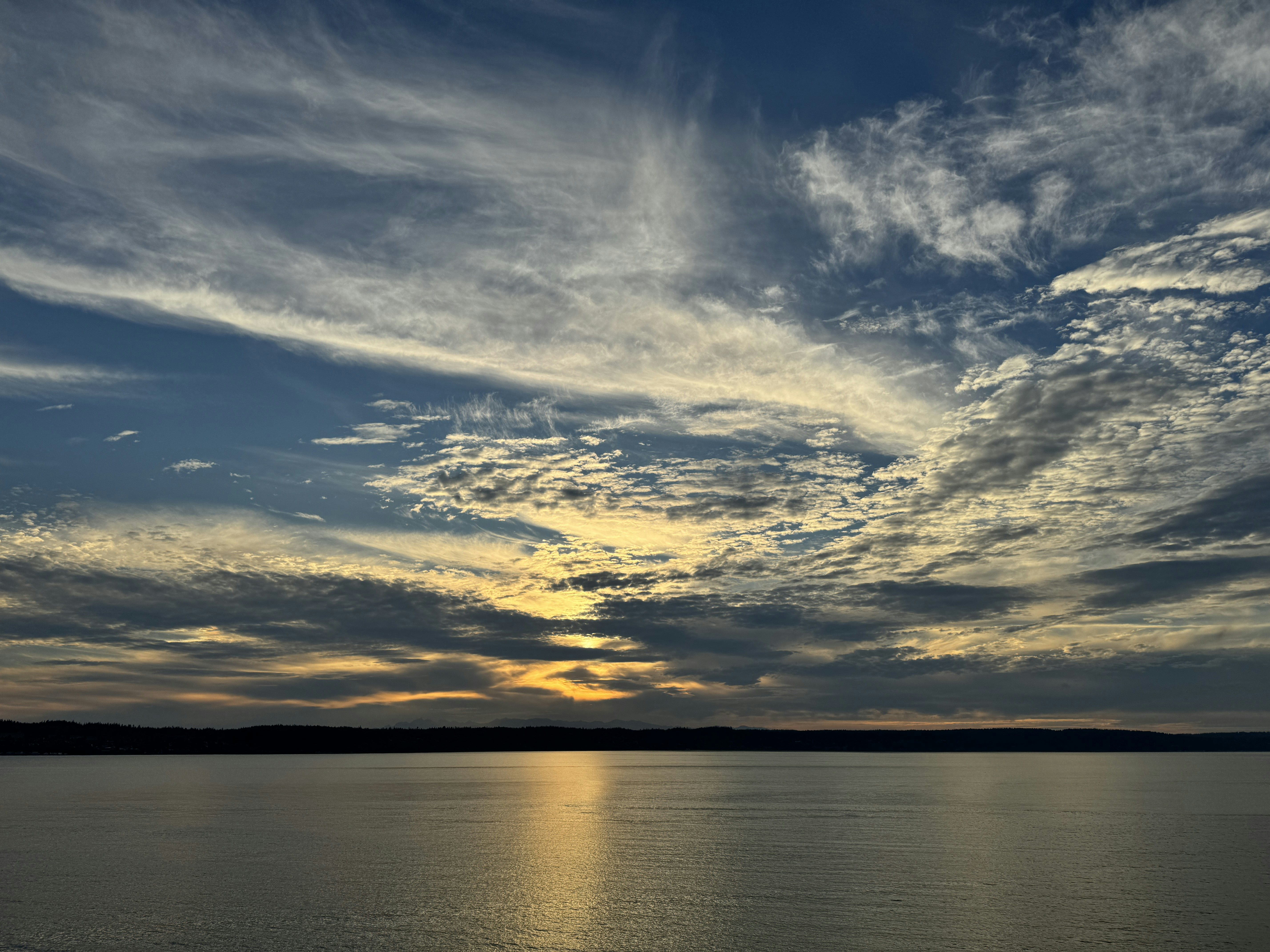 Click to View Larger