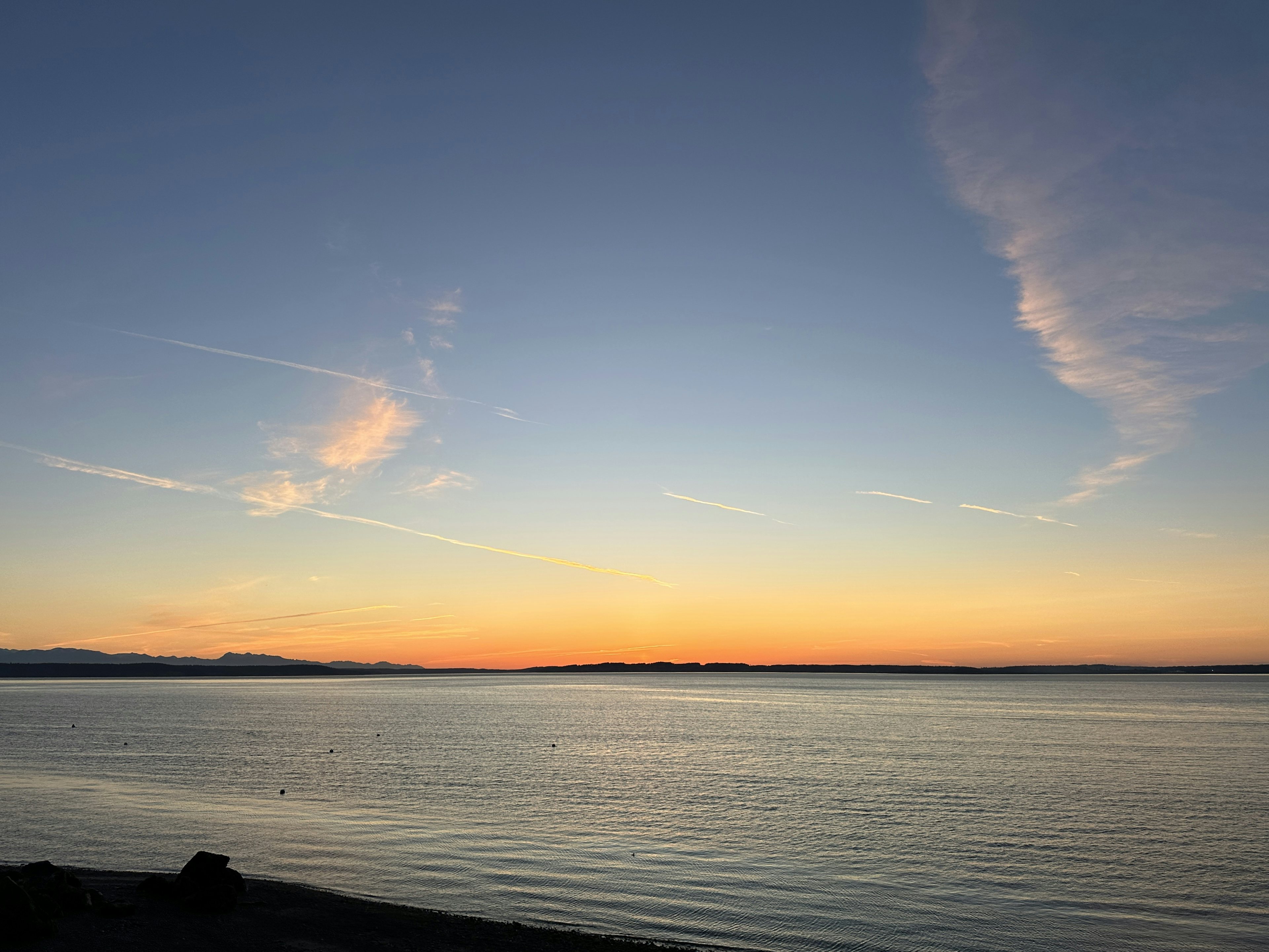 Click to View Larger