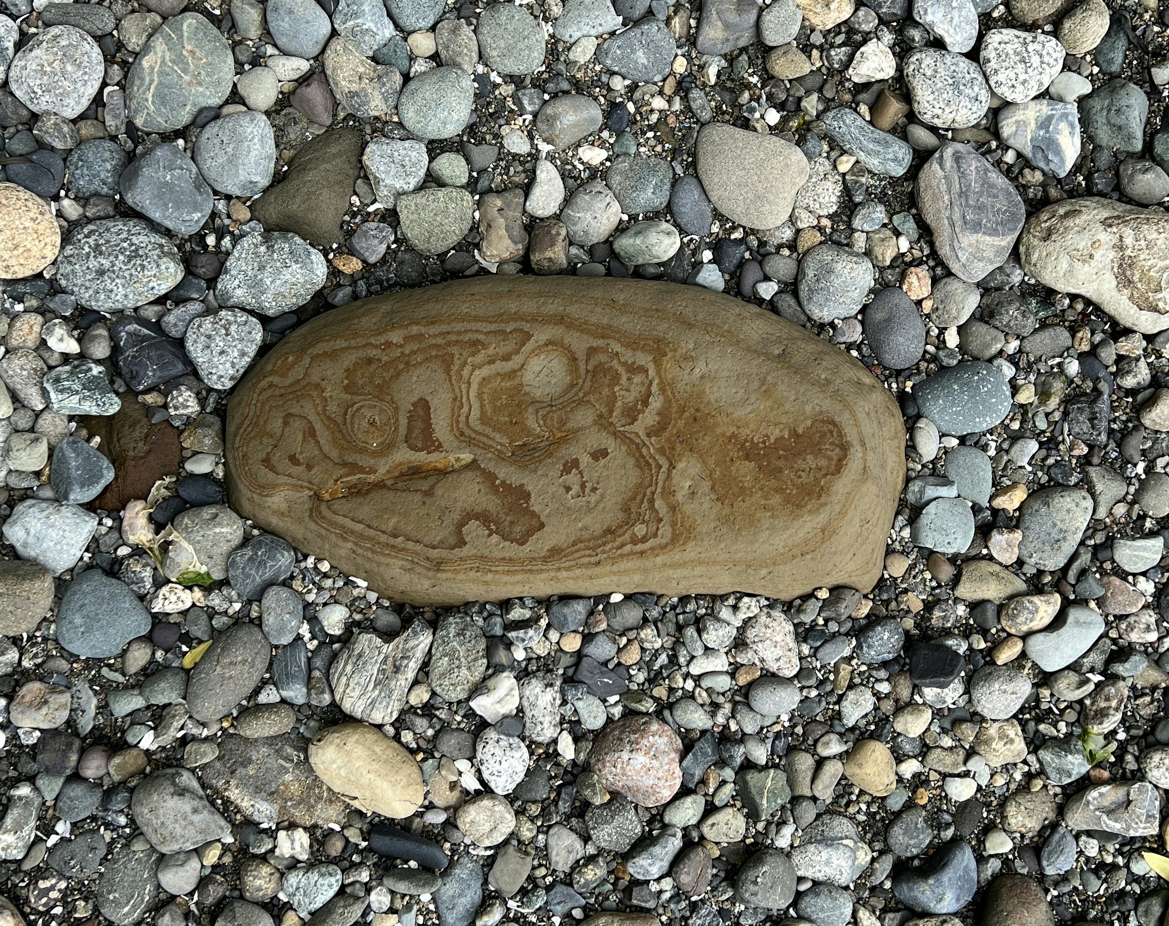 Click to View Larger