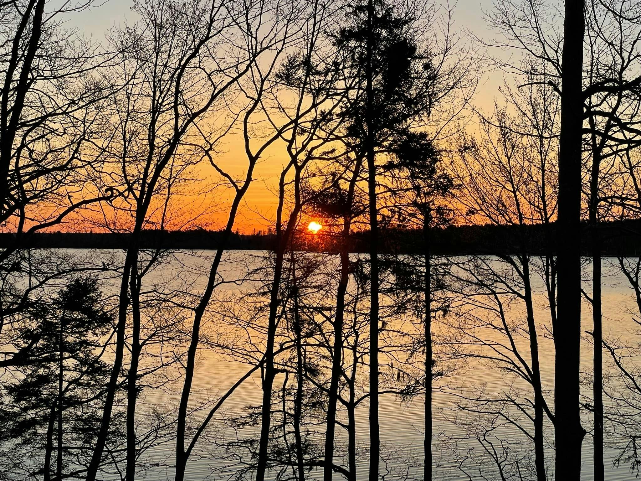 Click to View Larger