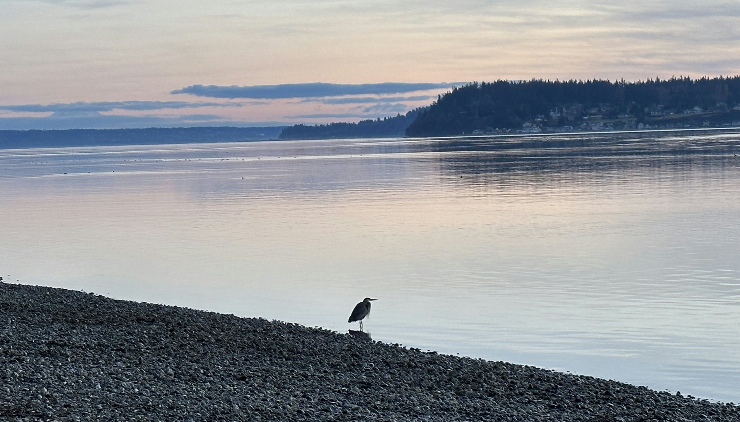 Click to View Larger