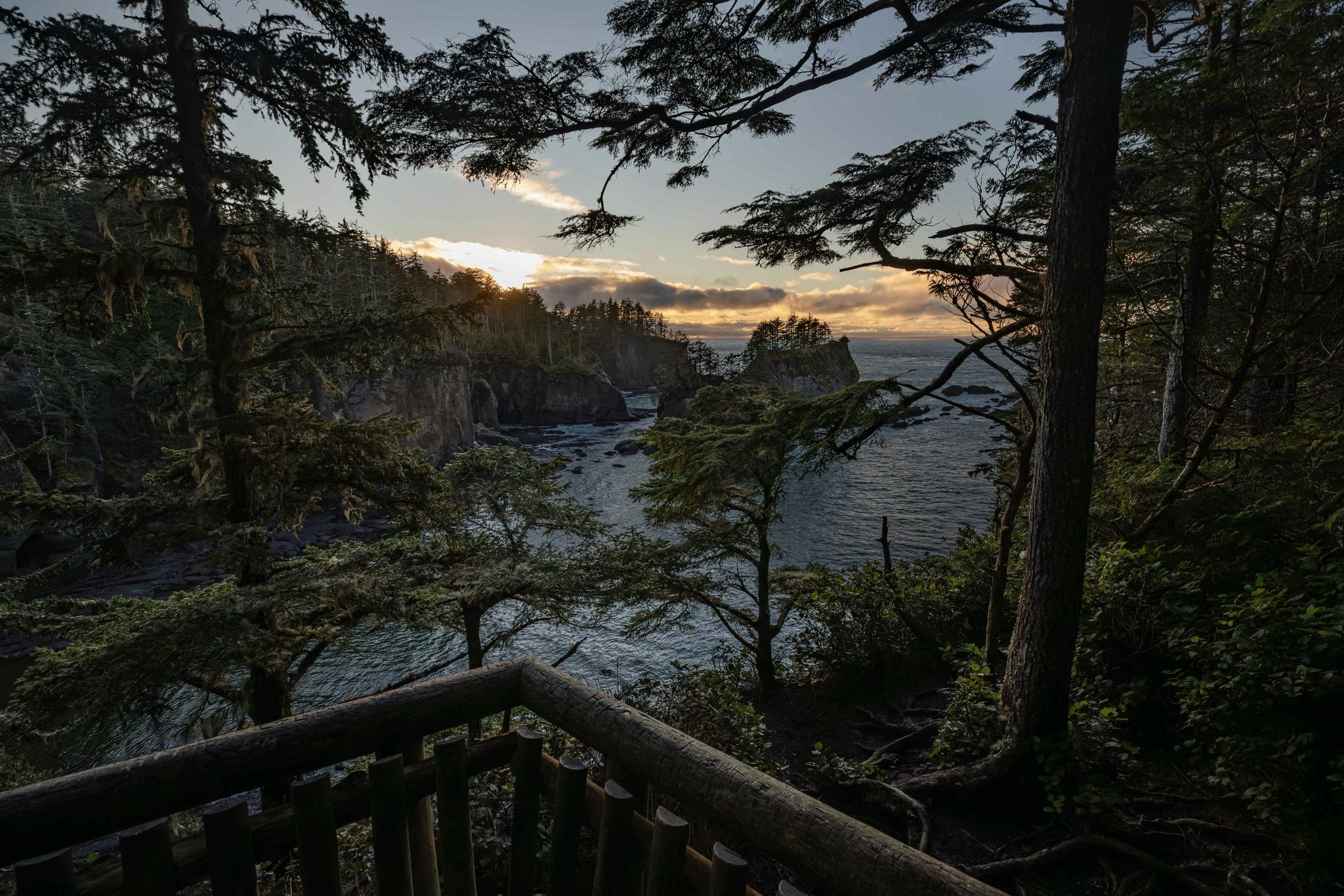 Click to View Larger