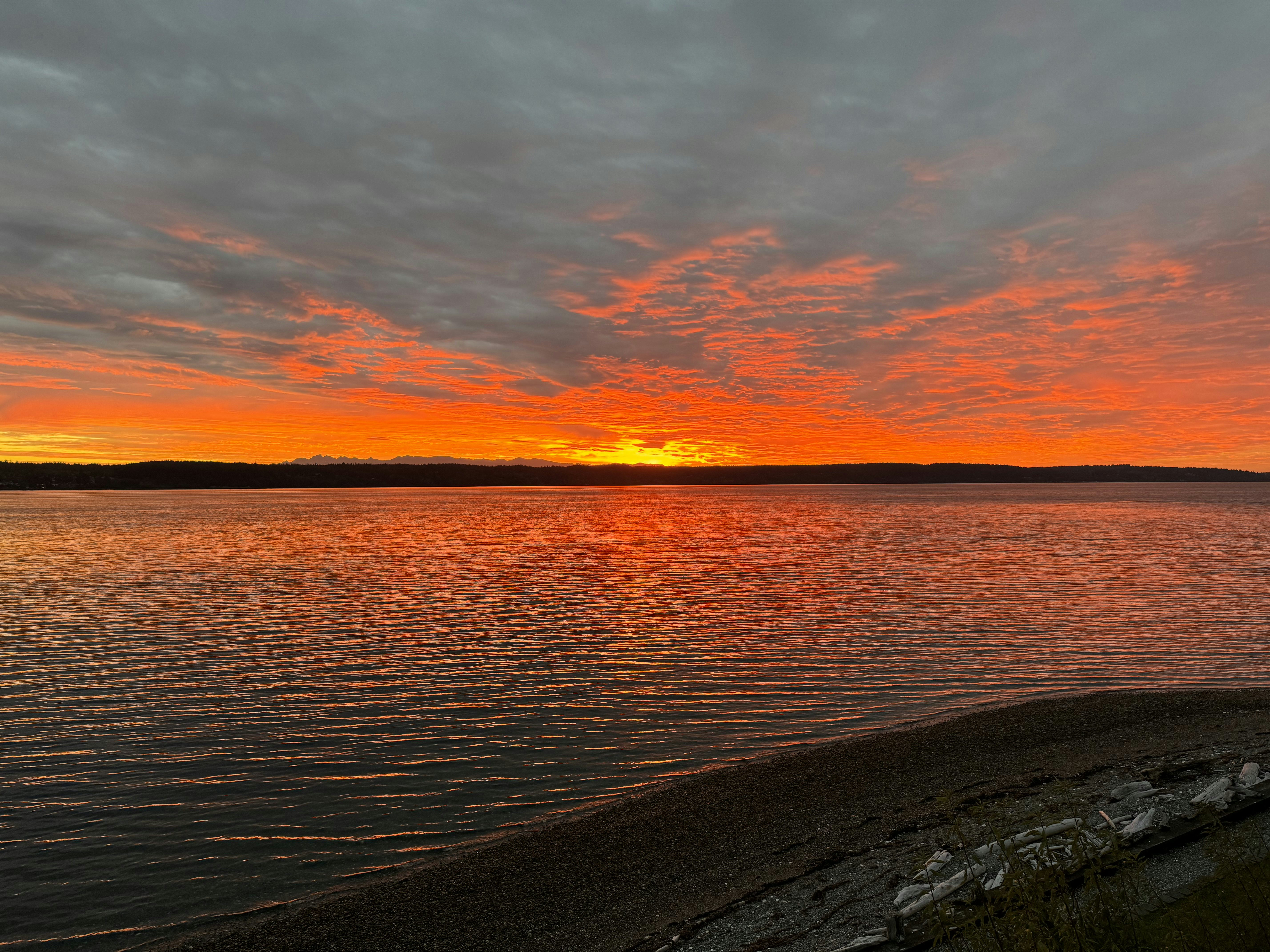 Click to View Larger