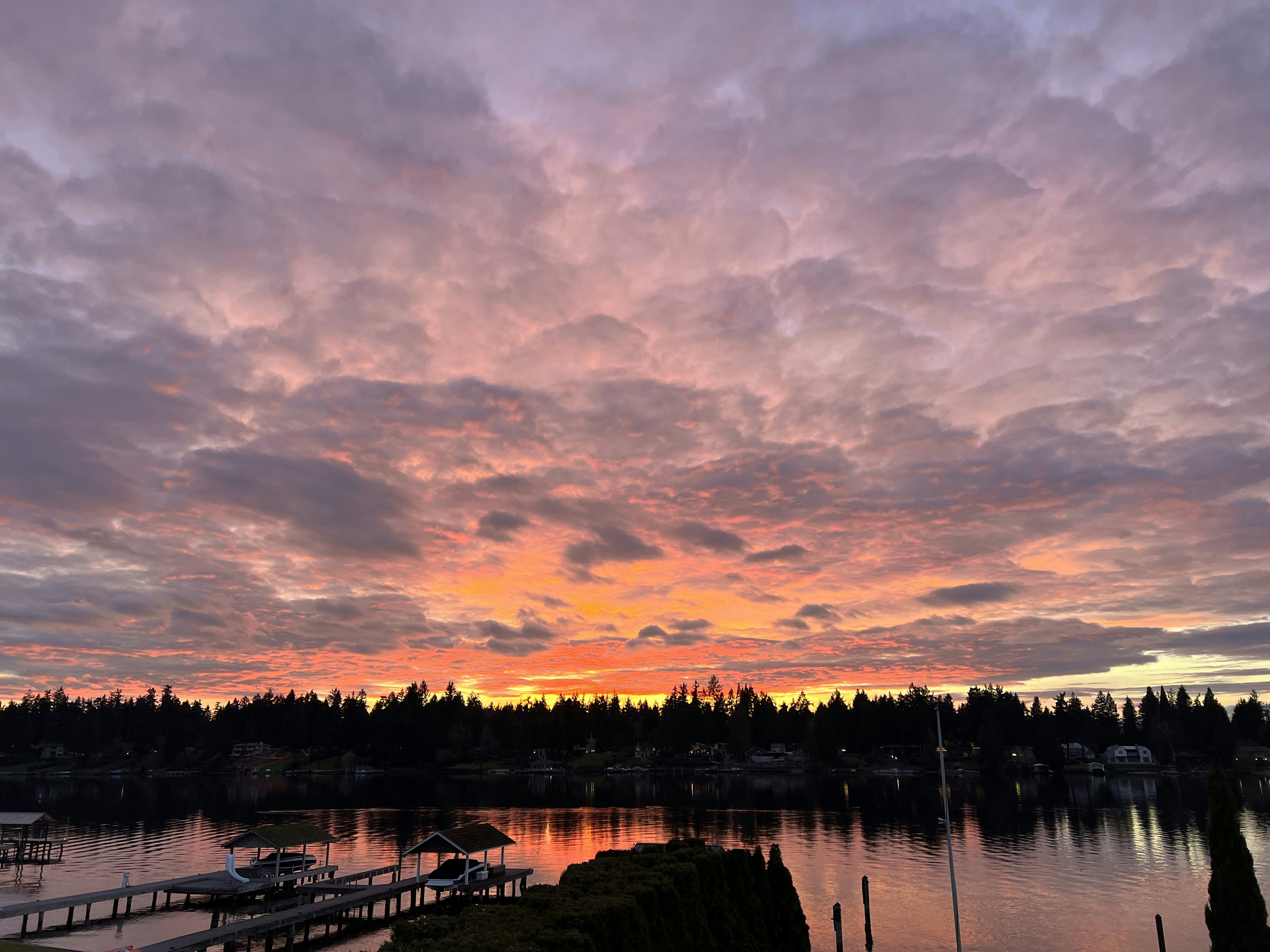 Click to View Larger