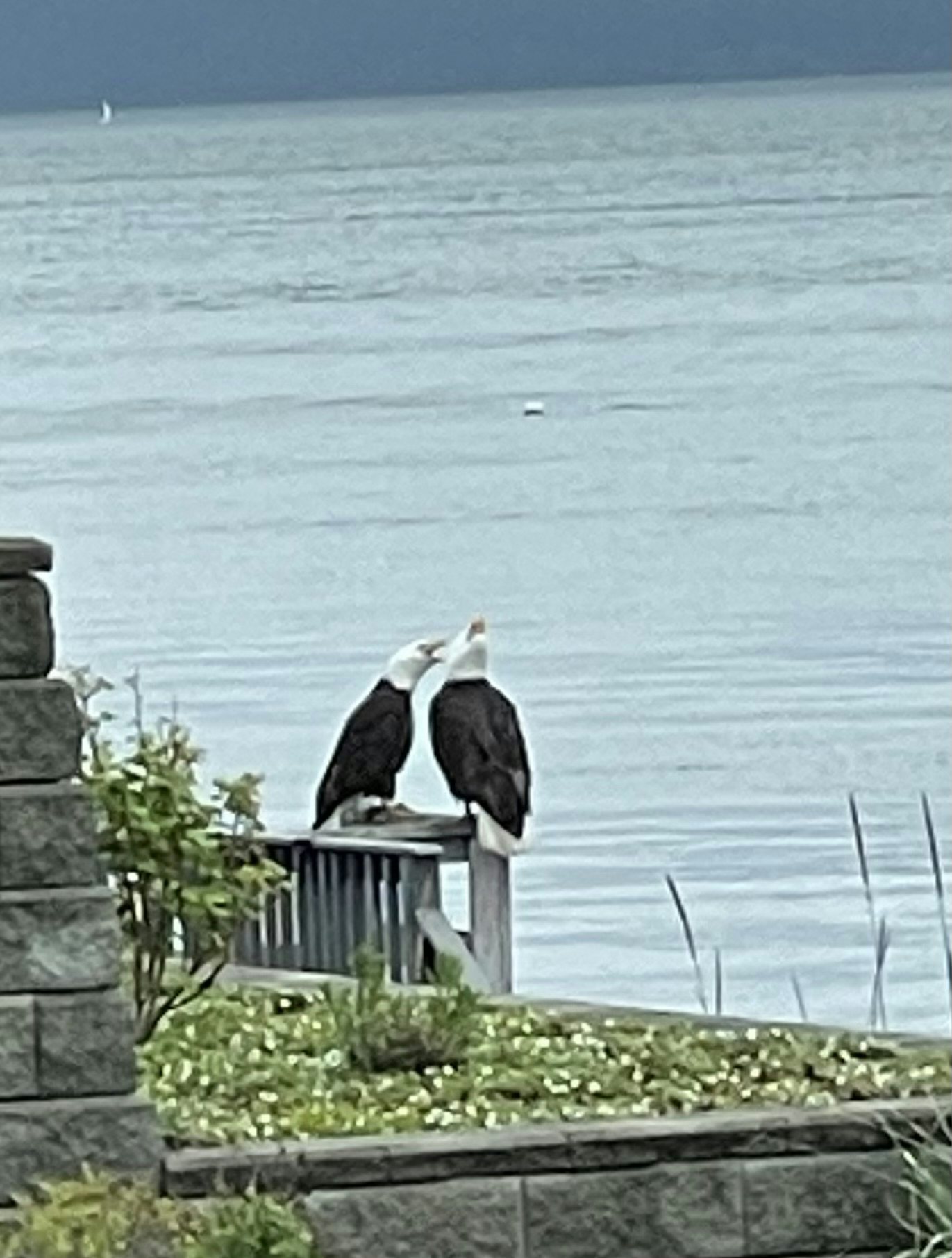 Click to View Larger