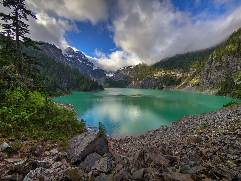 Click to View Larger