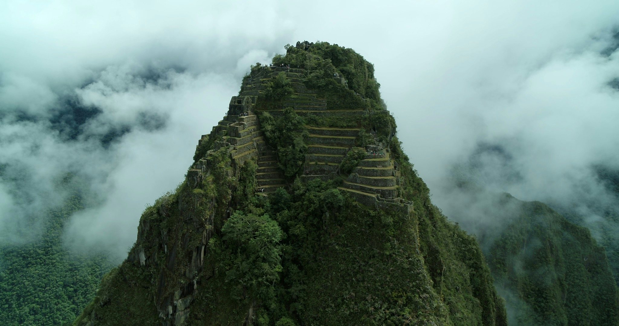 Click to View Larger