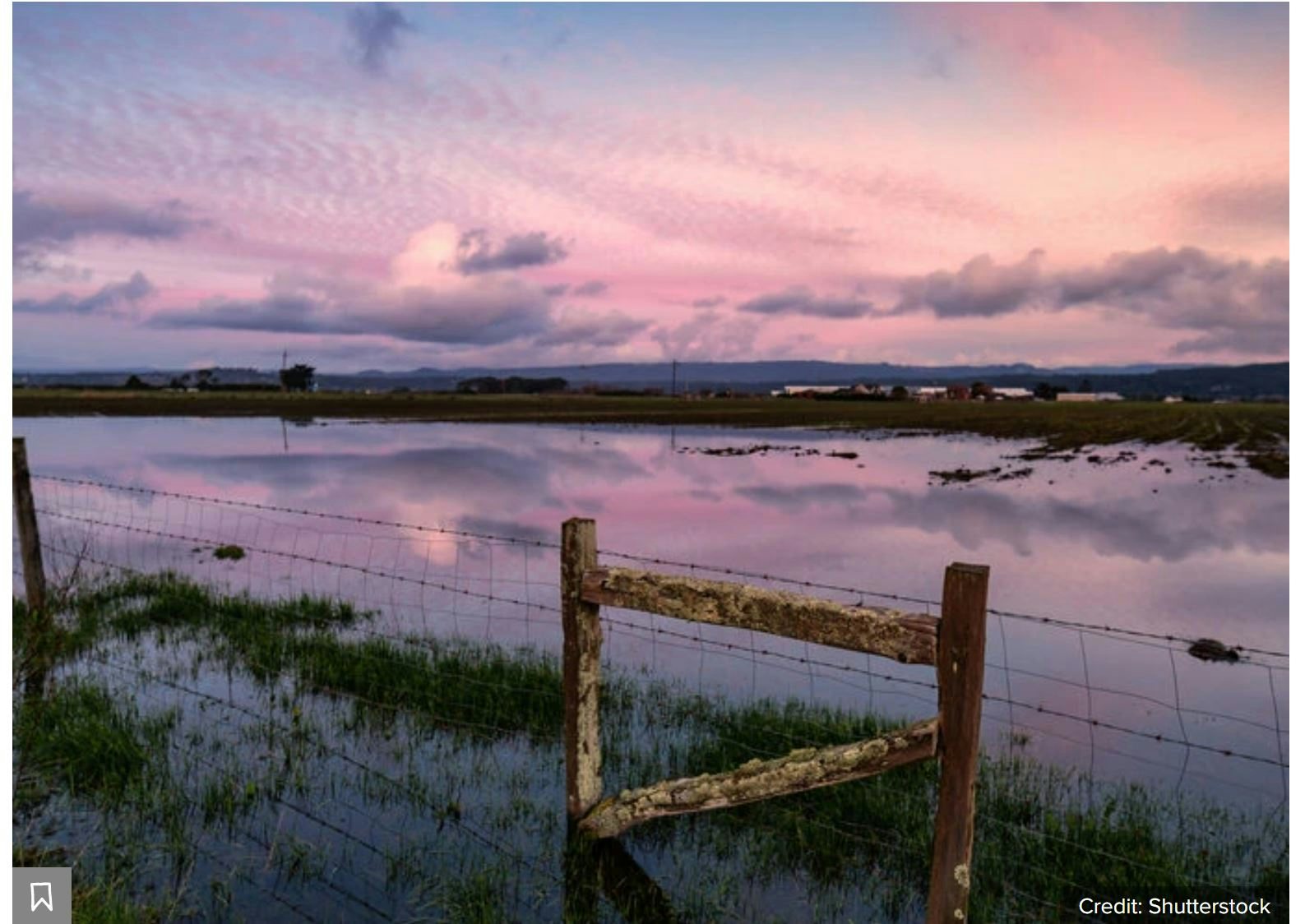 Click to View Larger