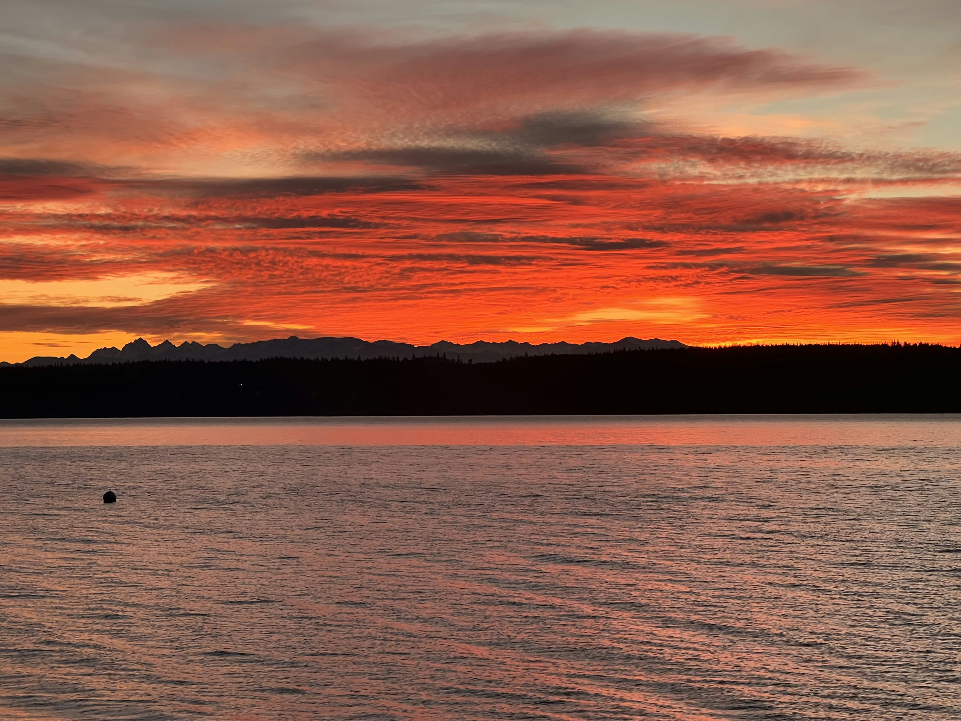 Click to View Larger