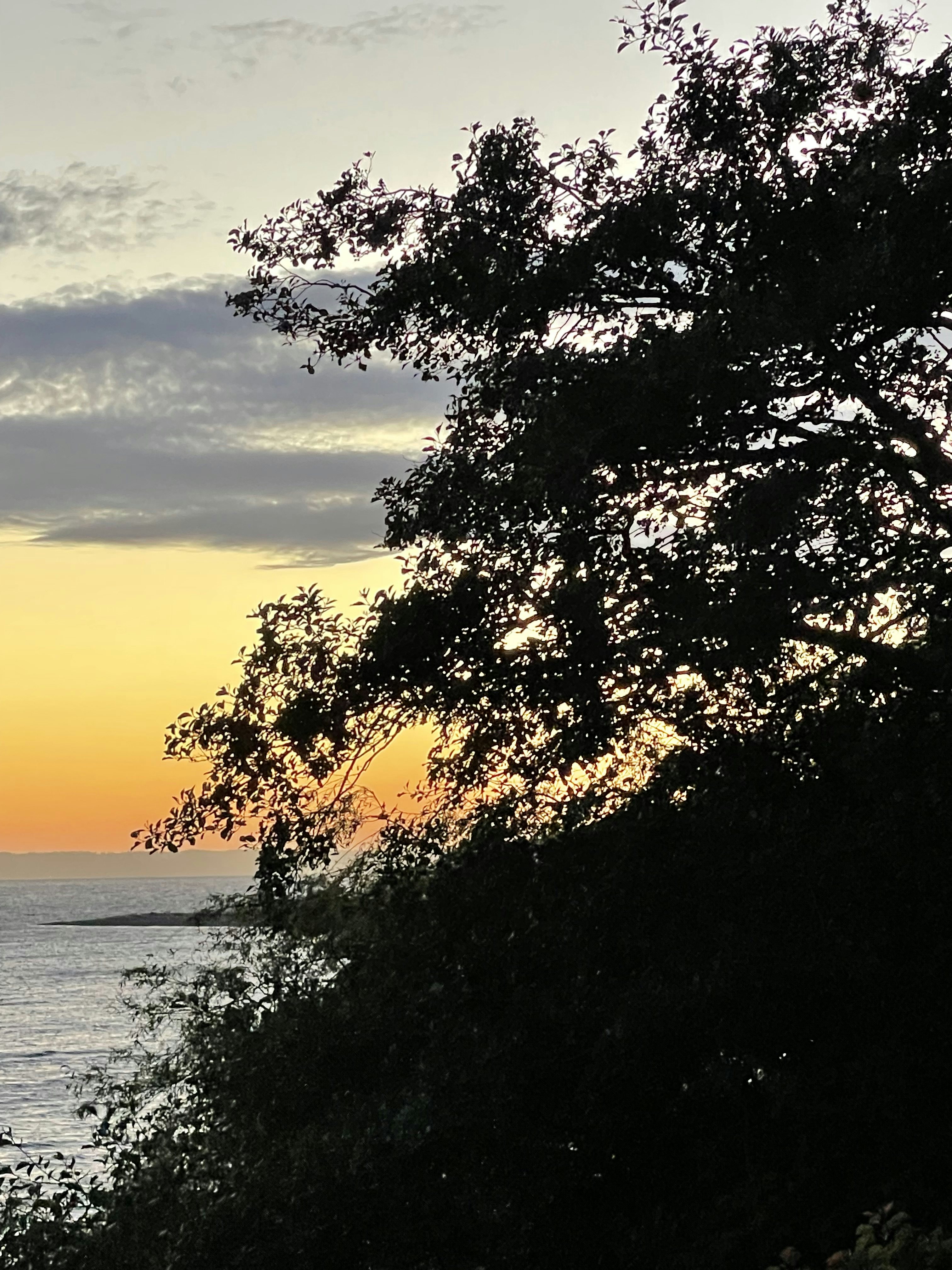 Click to View Larger