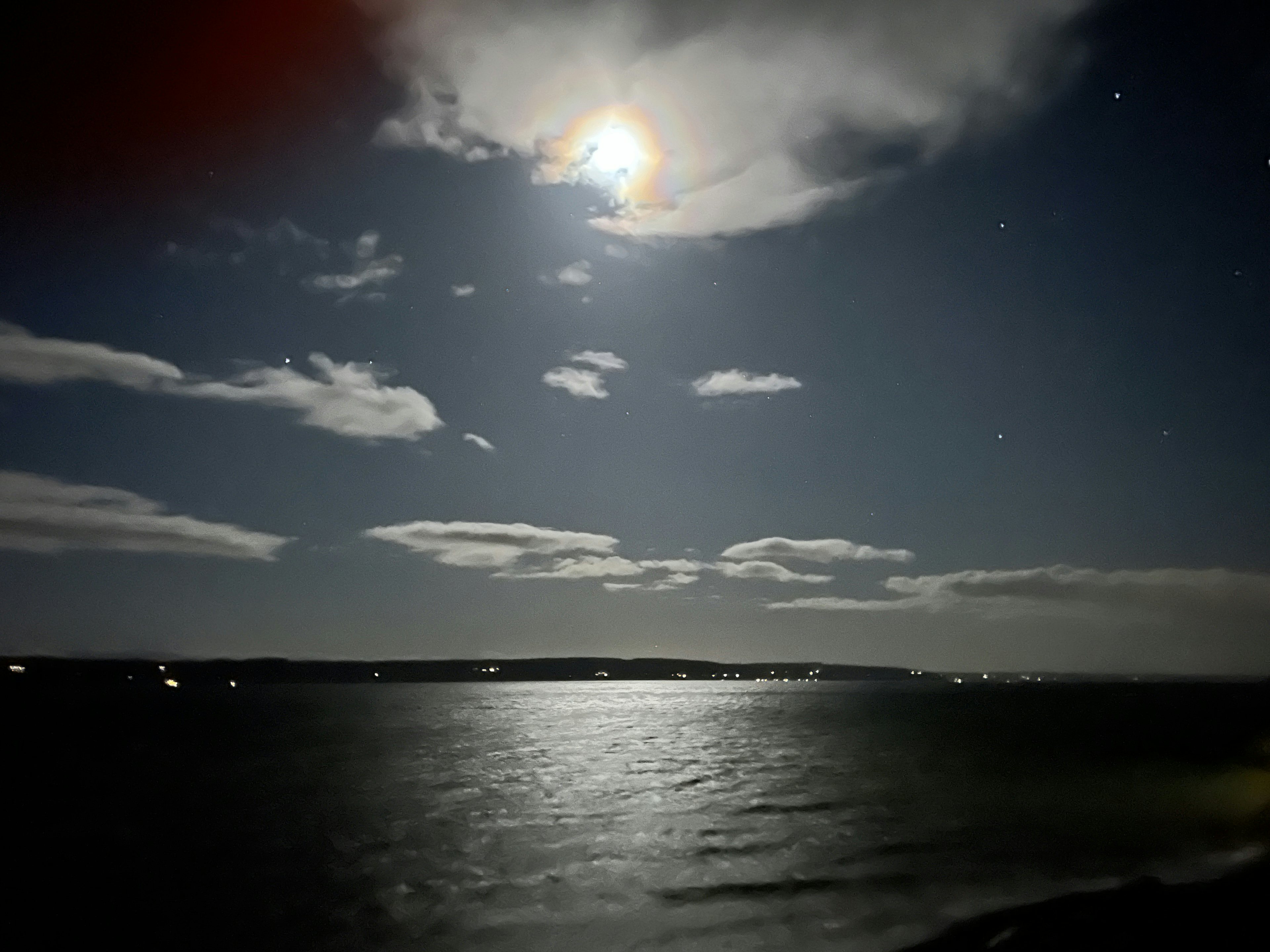 Click to View Larger