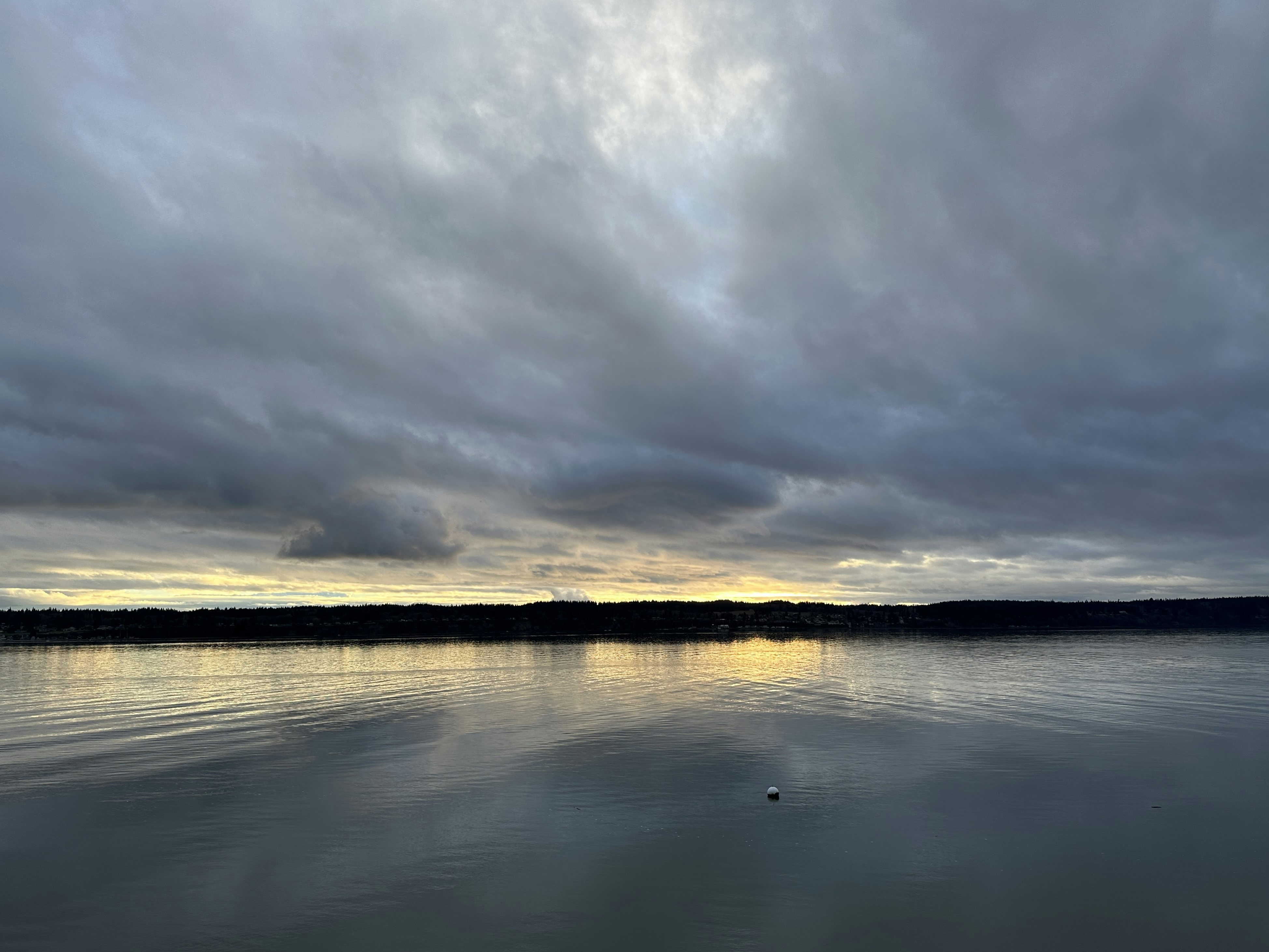 Click to View Larger