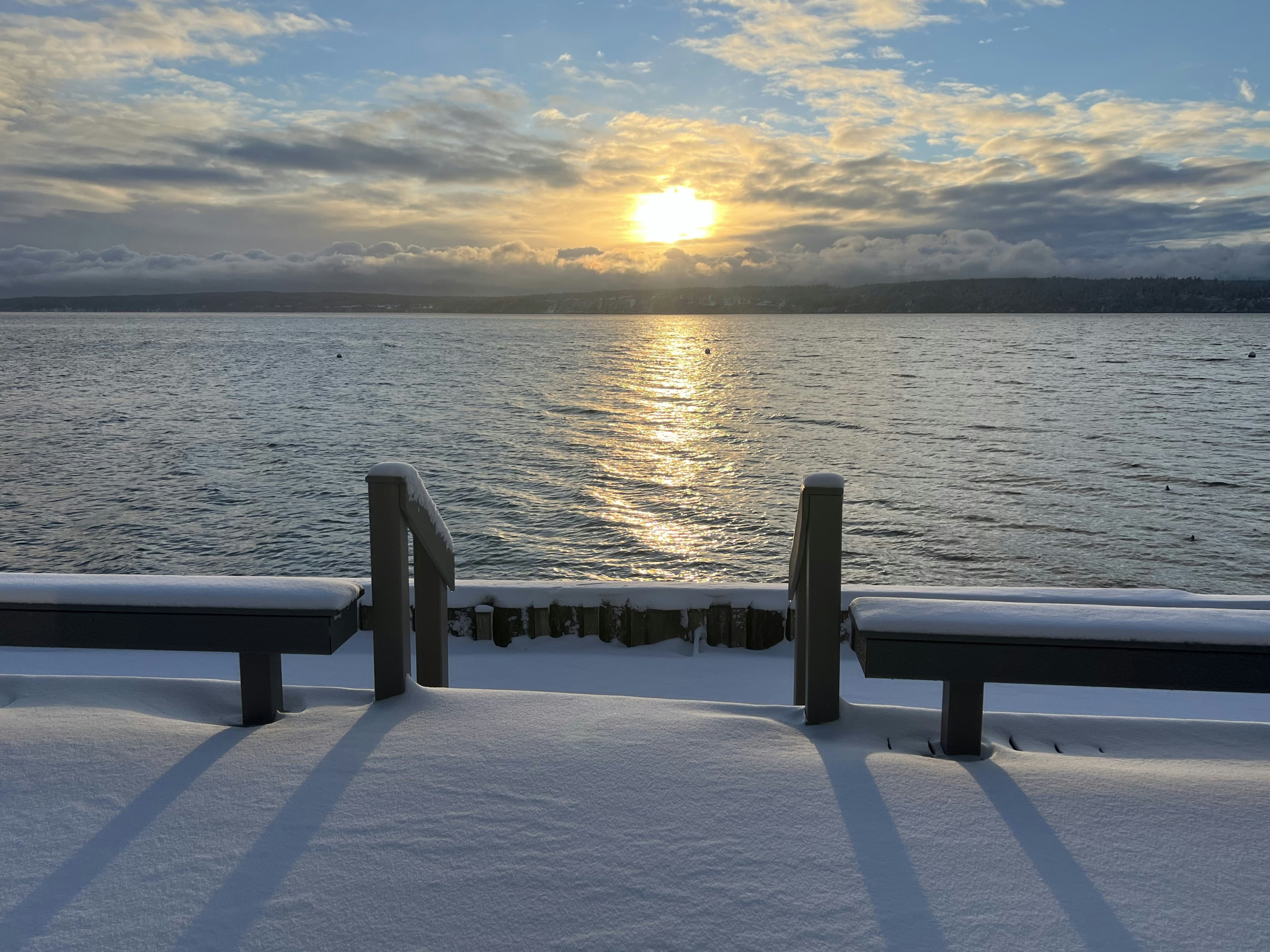 Click to View Larger