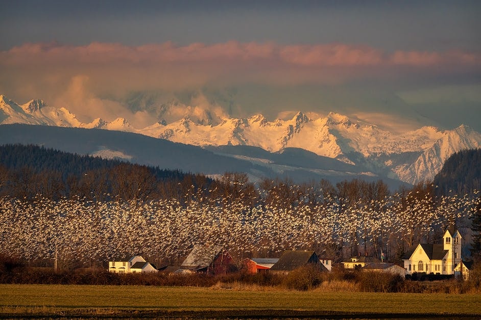 Click to View Larger