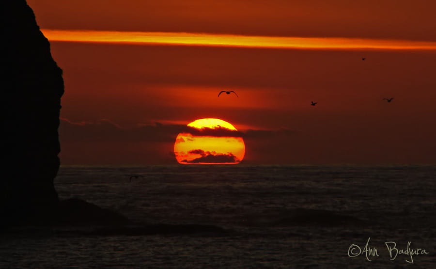 Click to View Larger