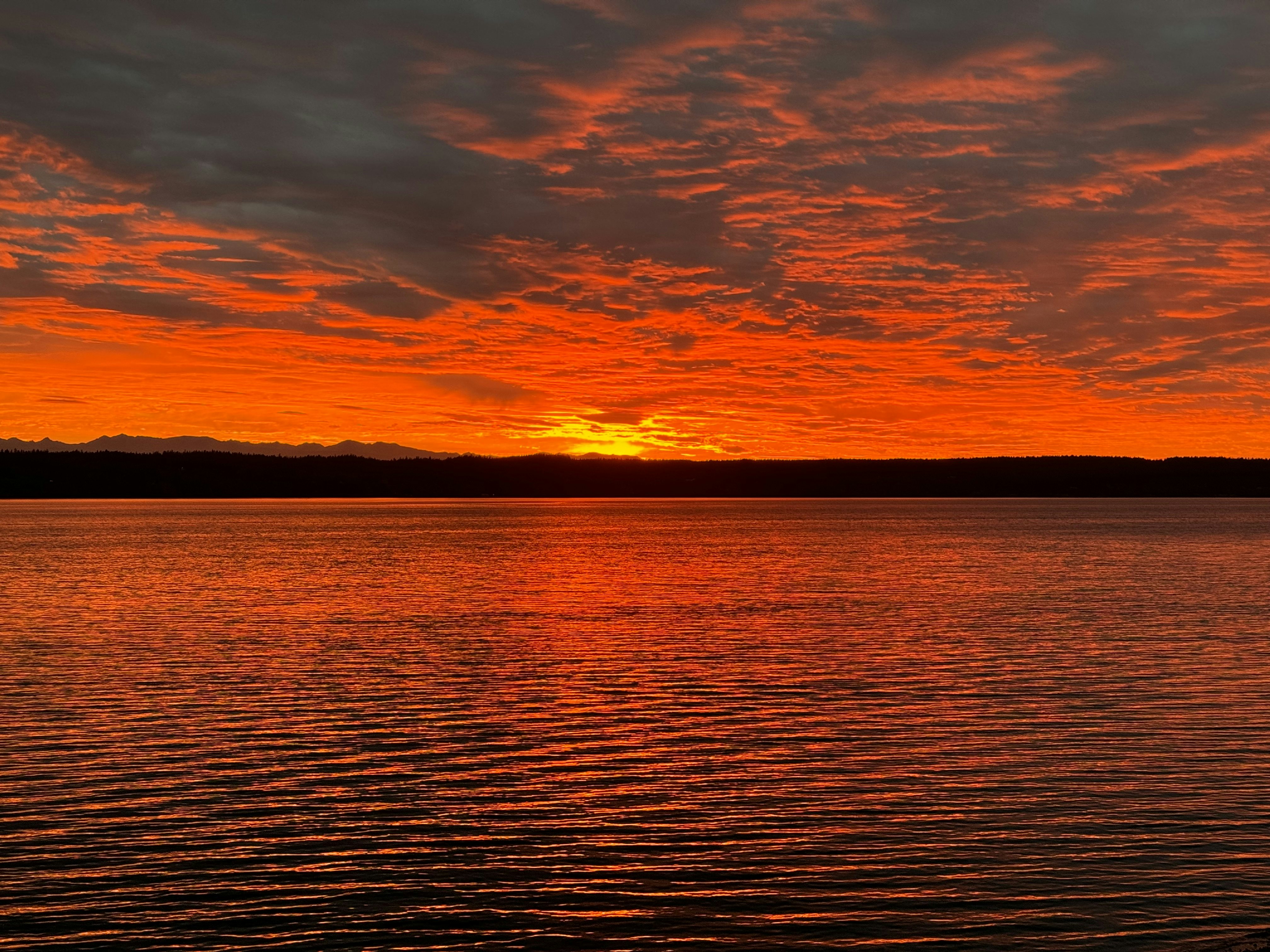 Click to View Larger