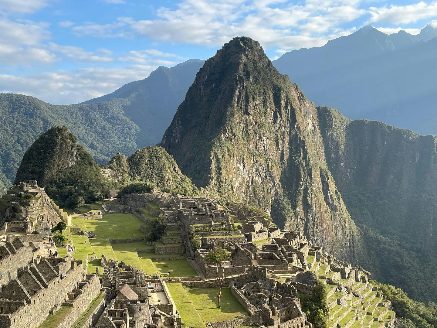 Click to View Larger